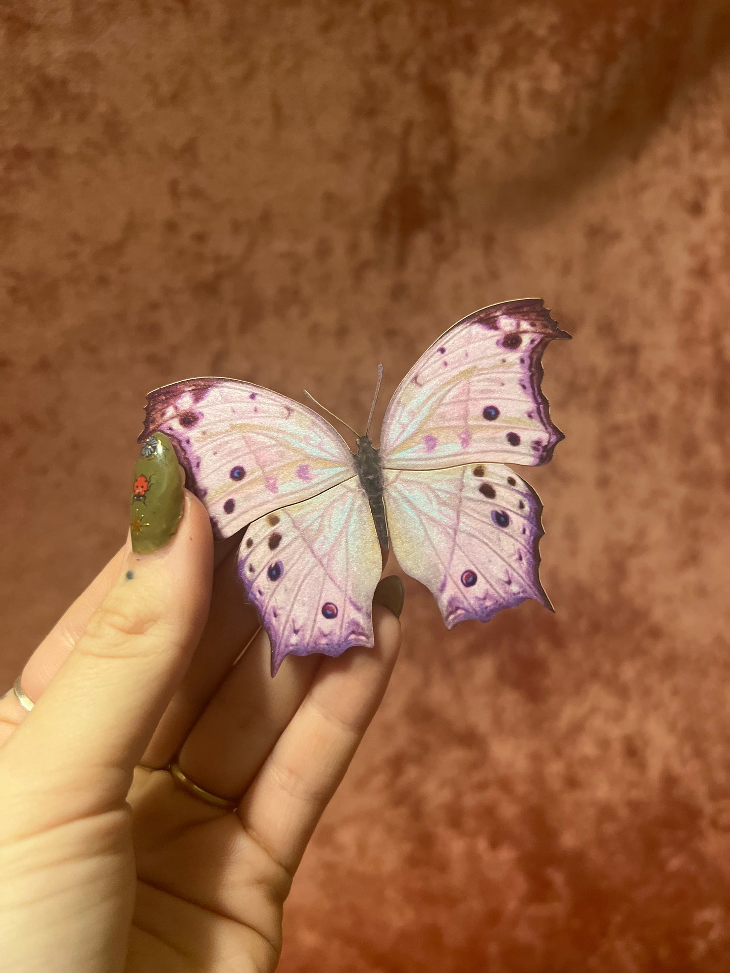 Mother of Pearl Butterfly M&M Paper Specimen