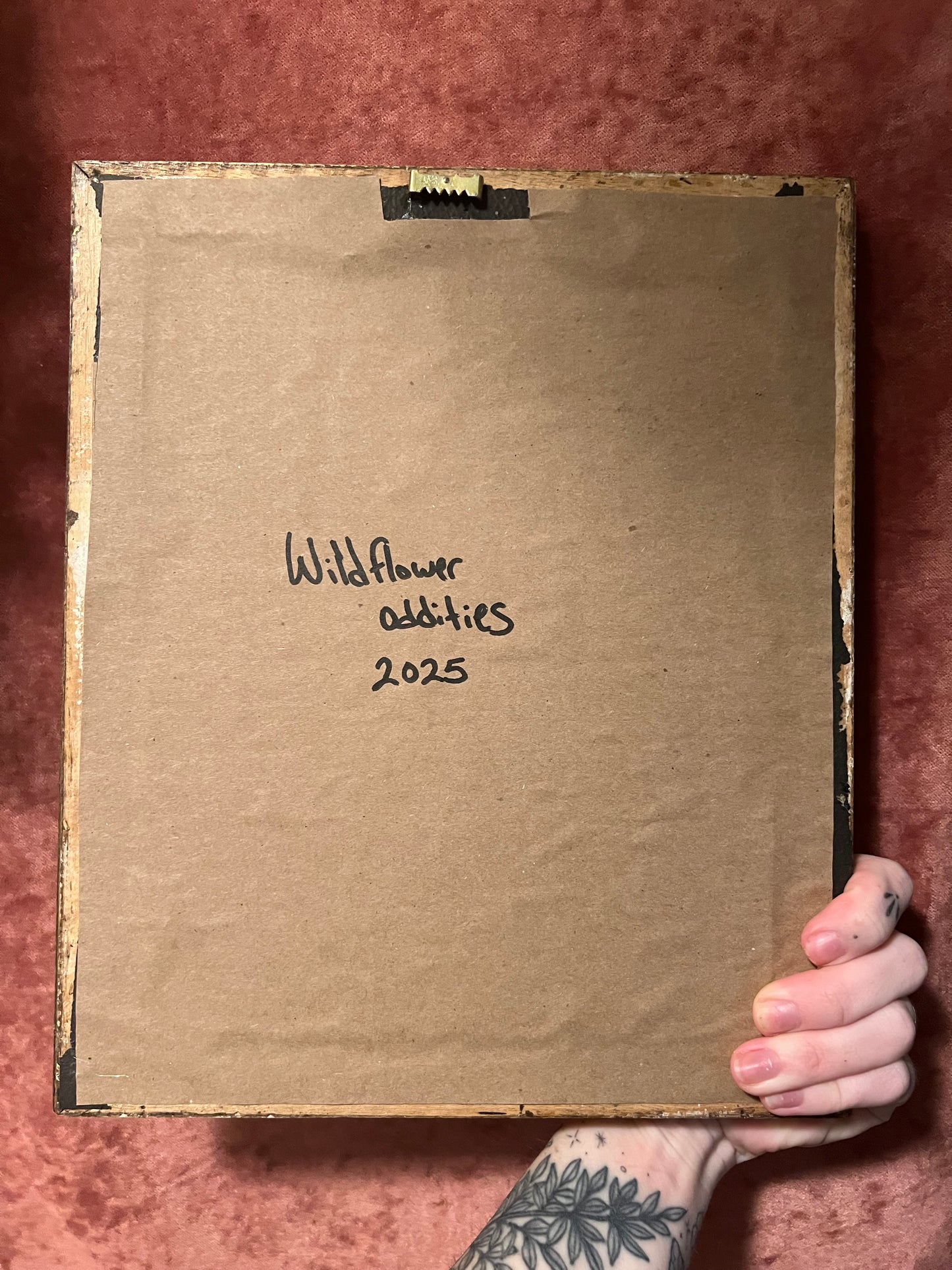 Cynthia Moth in Antique Wooden Frame