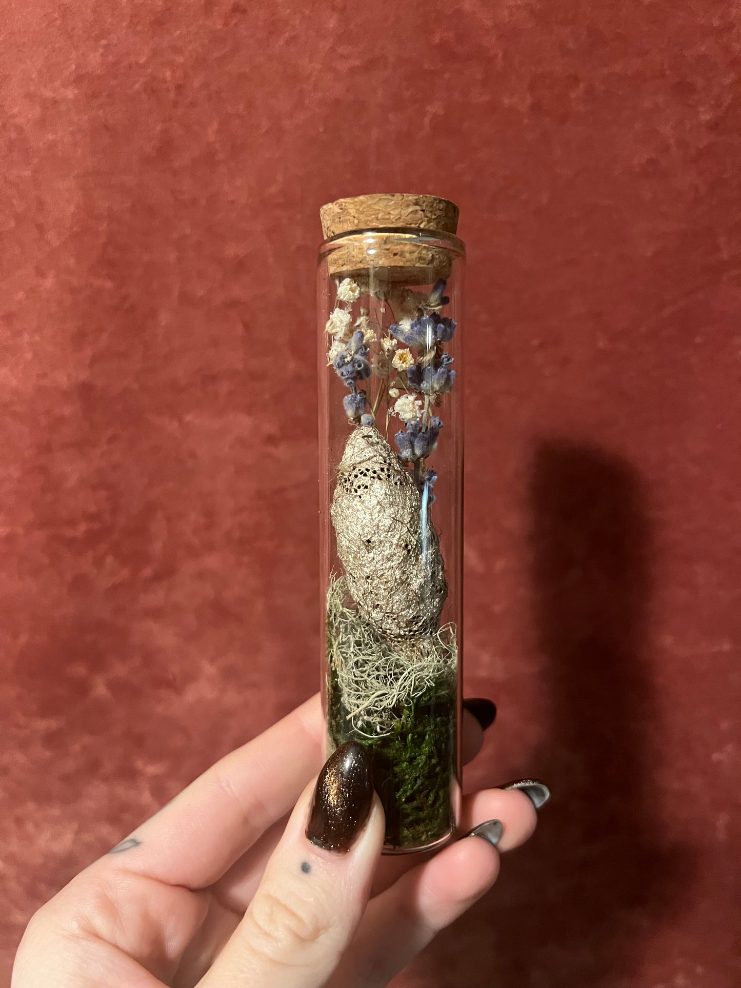 Preserved Cocoon & Botanicals Vial asst.