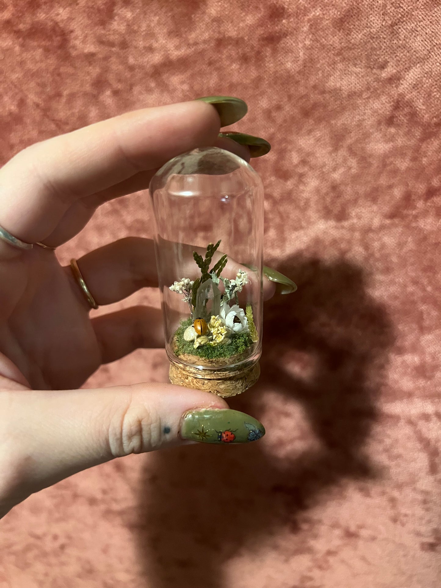 Ladybug Terrarium Cork Display Dome