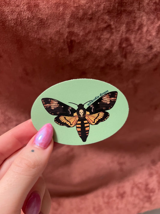 Moth Stickers 3” Ovals Matte Vinyl Sticker with Scientific Name