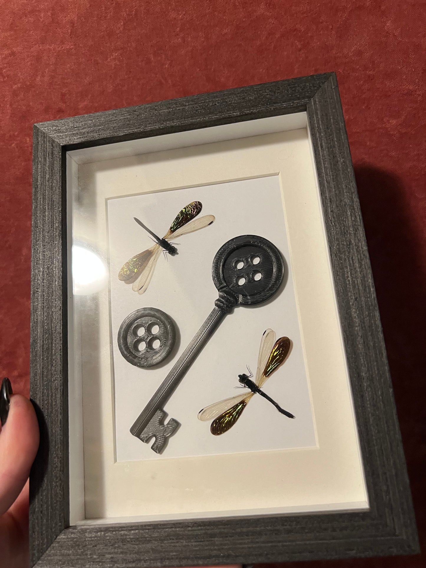 Coraline Frames