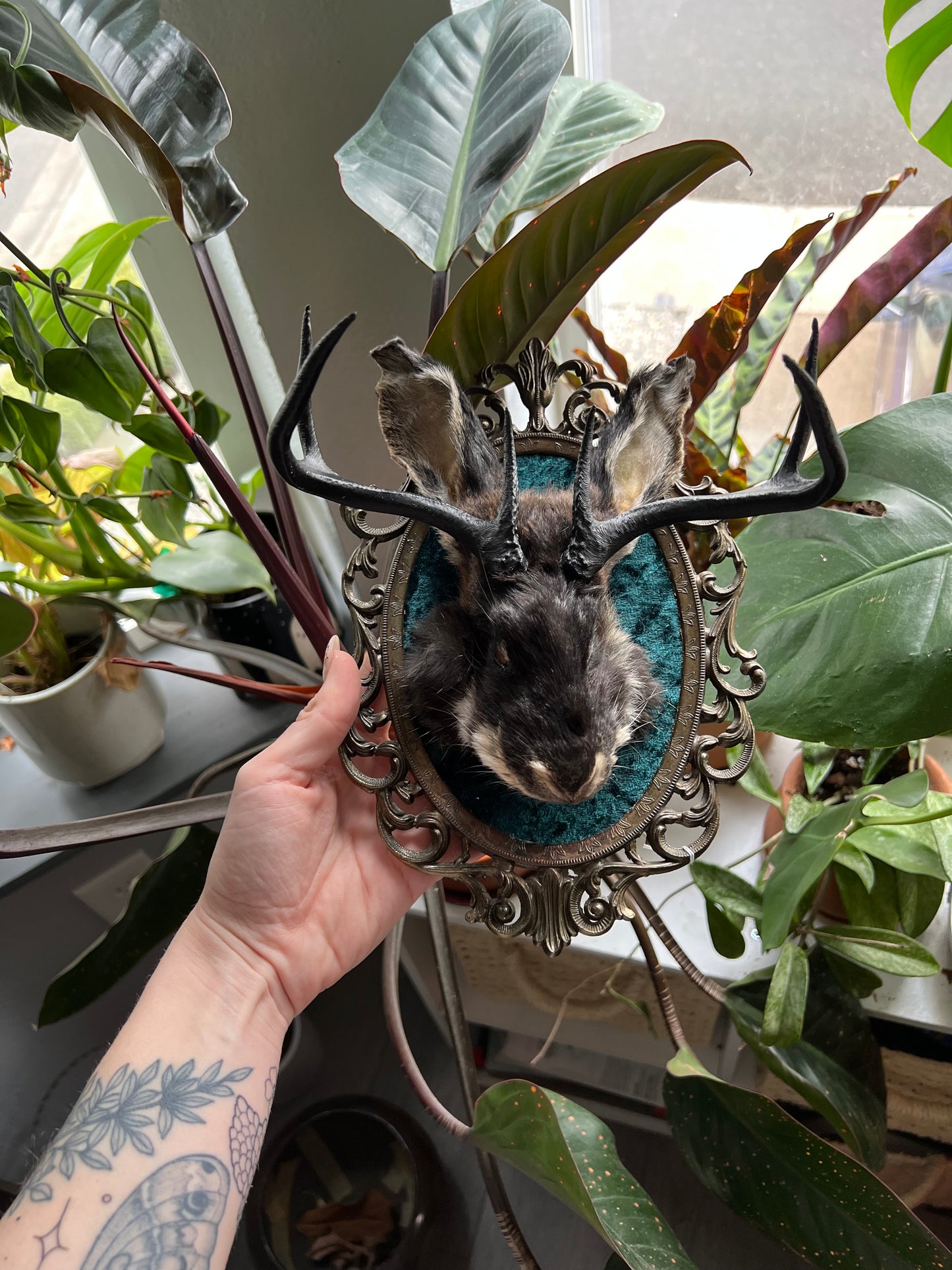 VIDEO TUTORIAL- Skinning Rabbit Heads