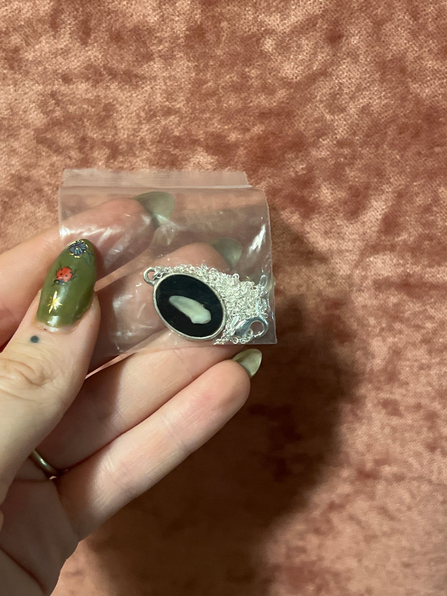 Raccoon Tooth Necklace