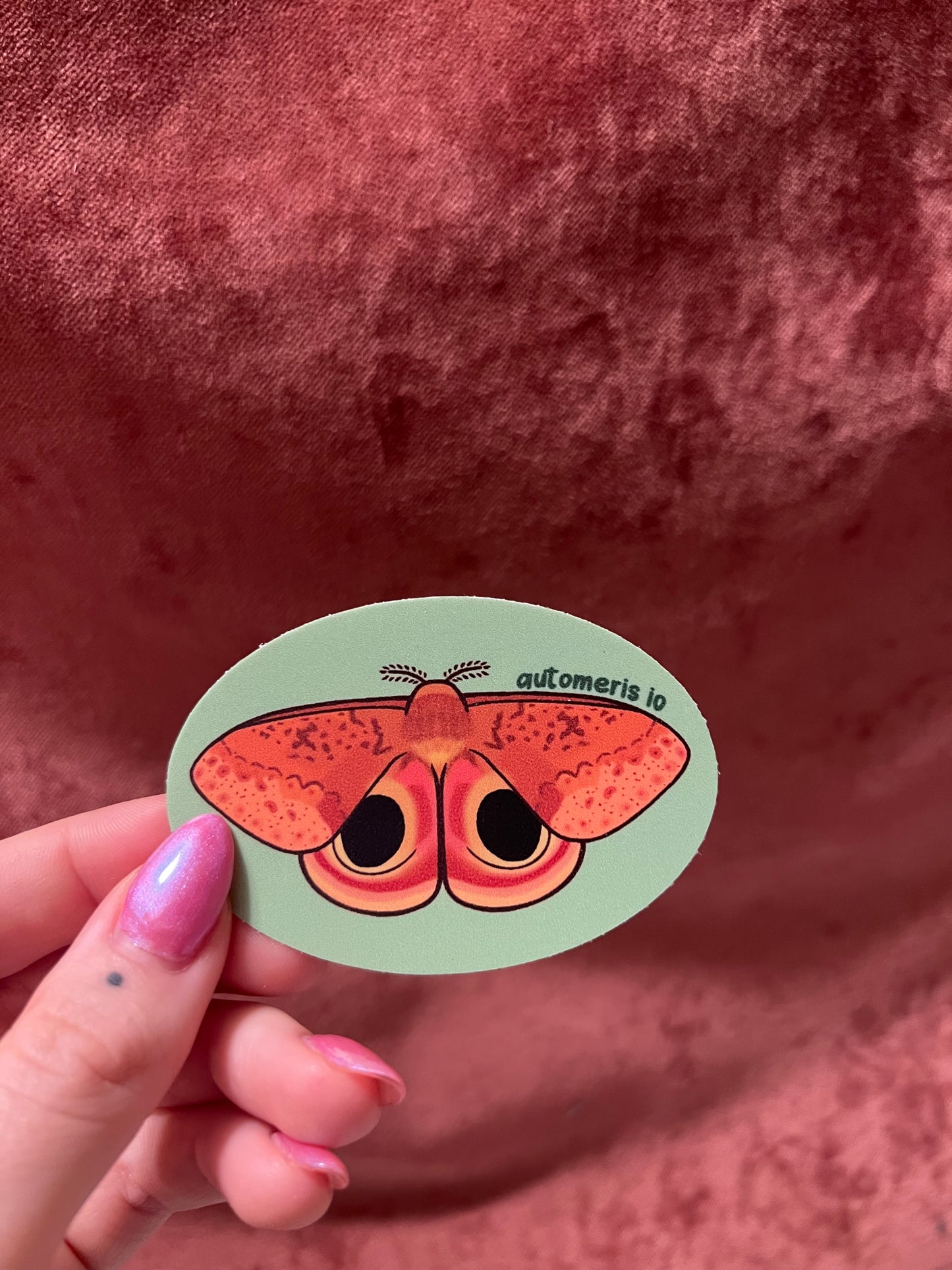 Moth Stickers 3” Ovals Matte Vinyl Sticker with Scientific Name