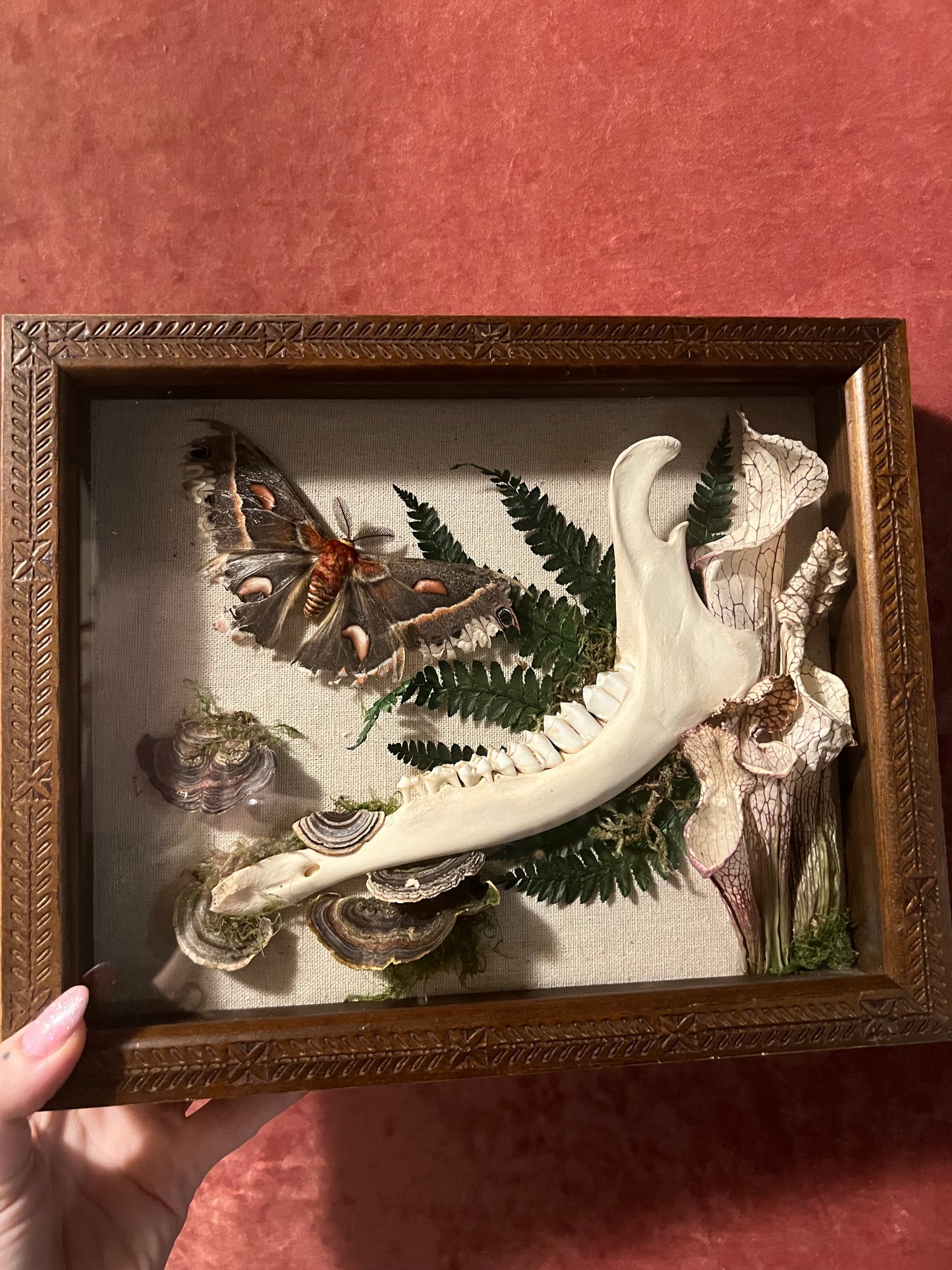 Bog Witch Frame