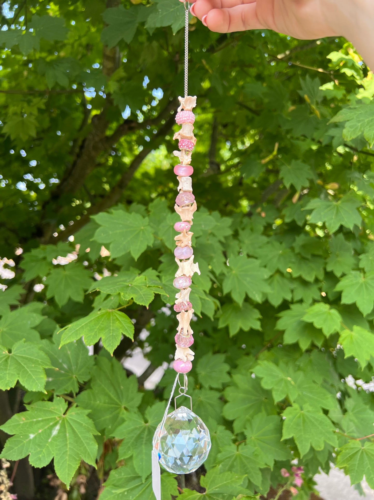 Vertebrae and Bead Suncatcher