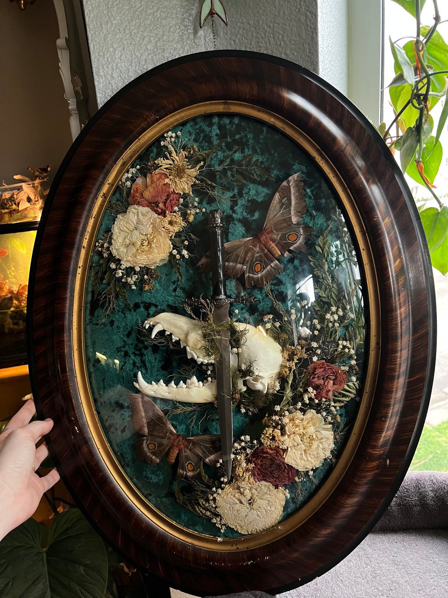 Coyote Dagger Frame with Natural Death Moths