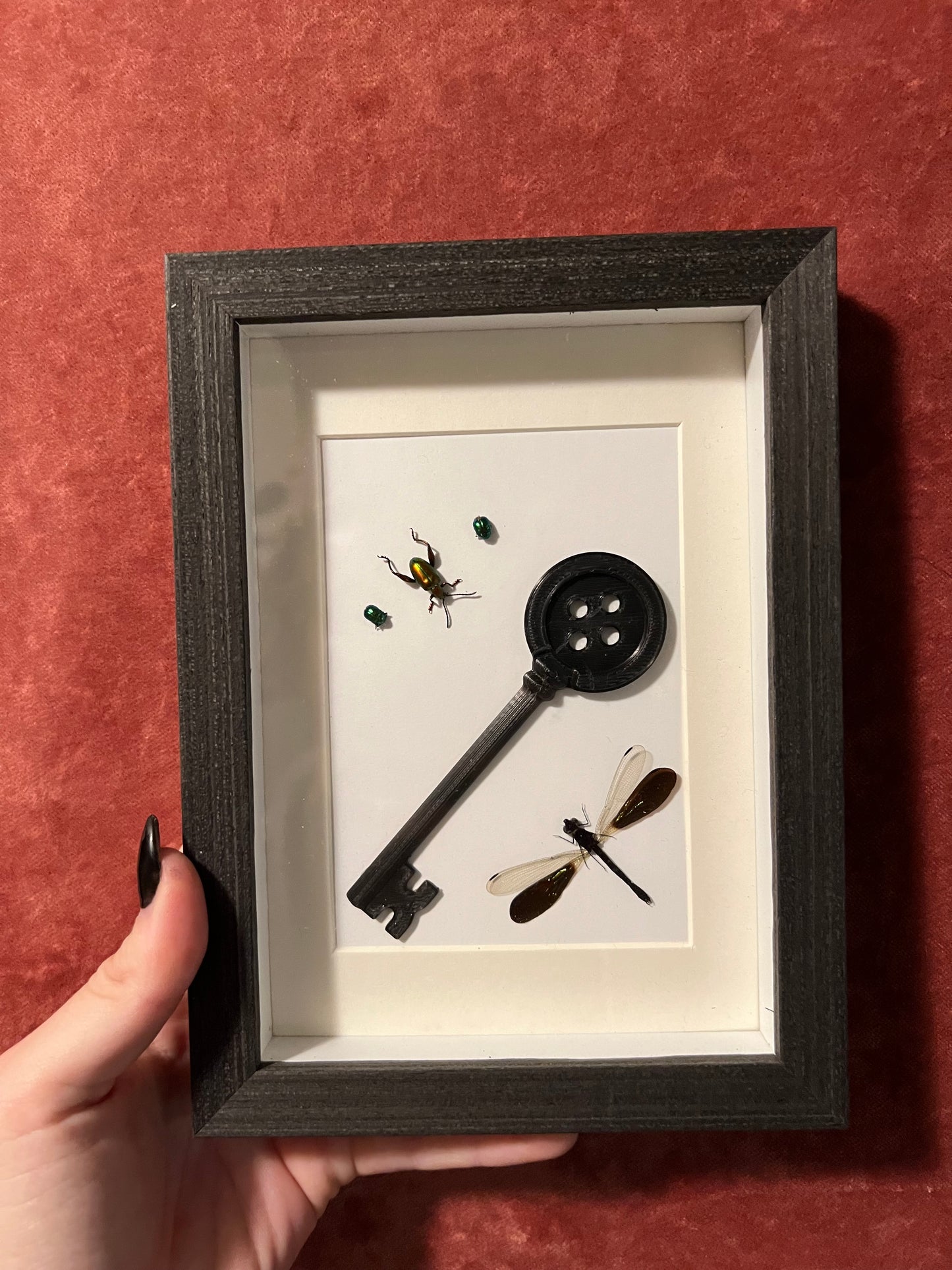 Coraline Frames