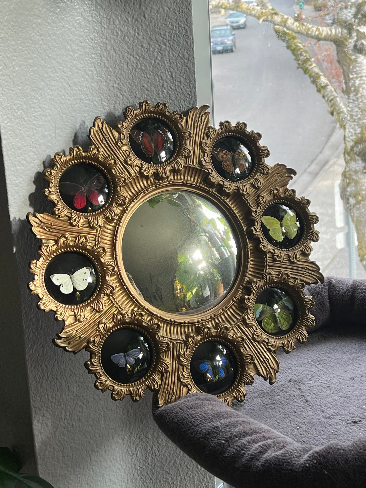 Rainbow Butterfly Mirror Frame