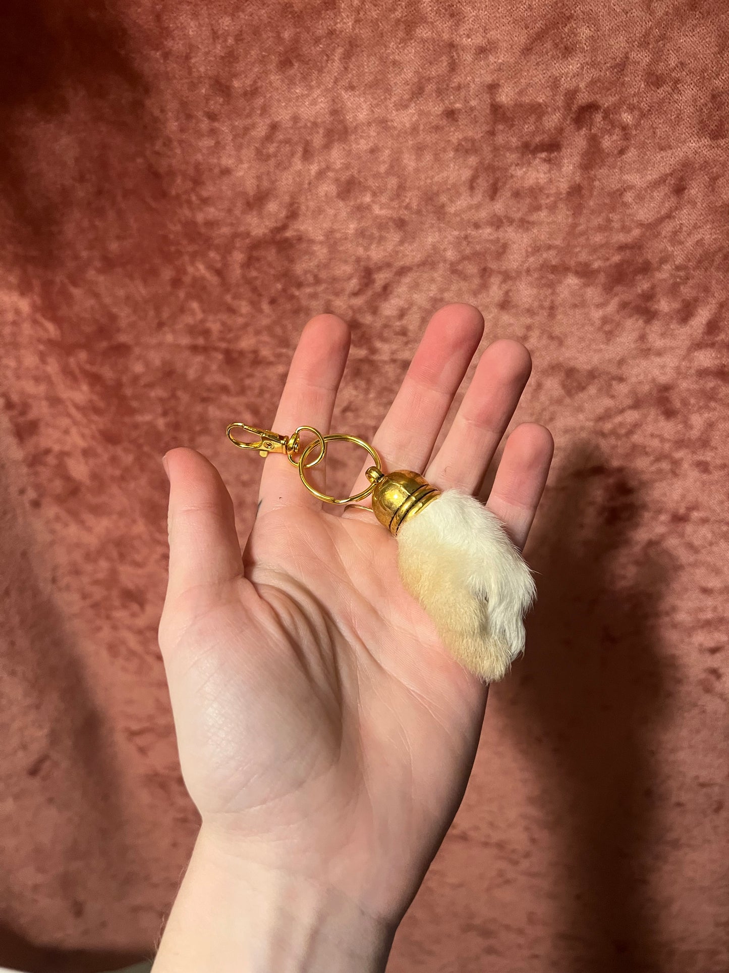 Rabbit Paw Keychain/Pursechain with gold colored hardware