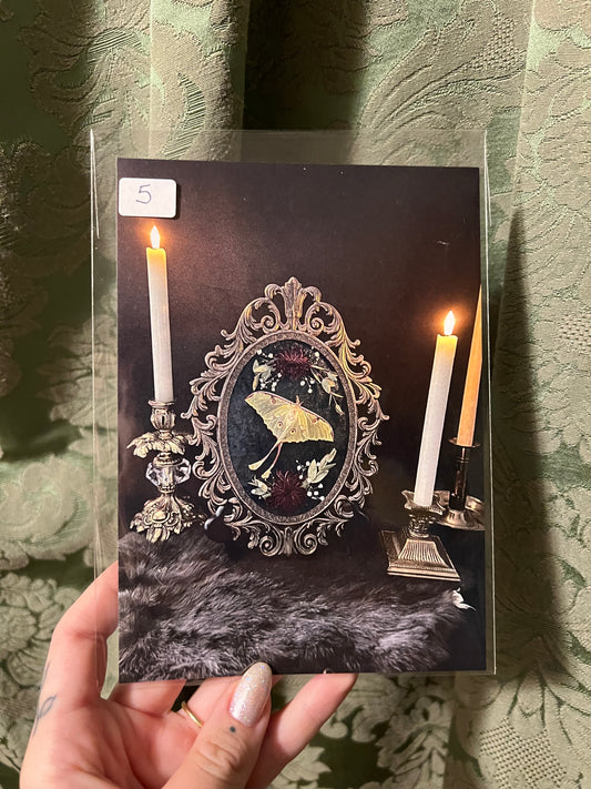 Luna Frame 5x7 Print