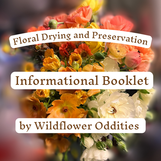 Floral Drying Informational PDF Booklet and Guide