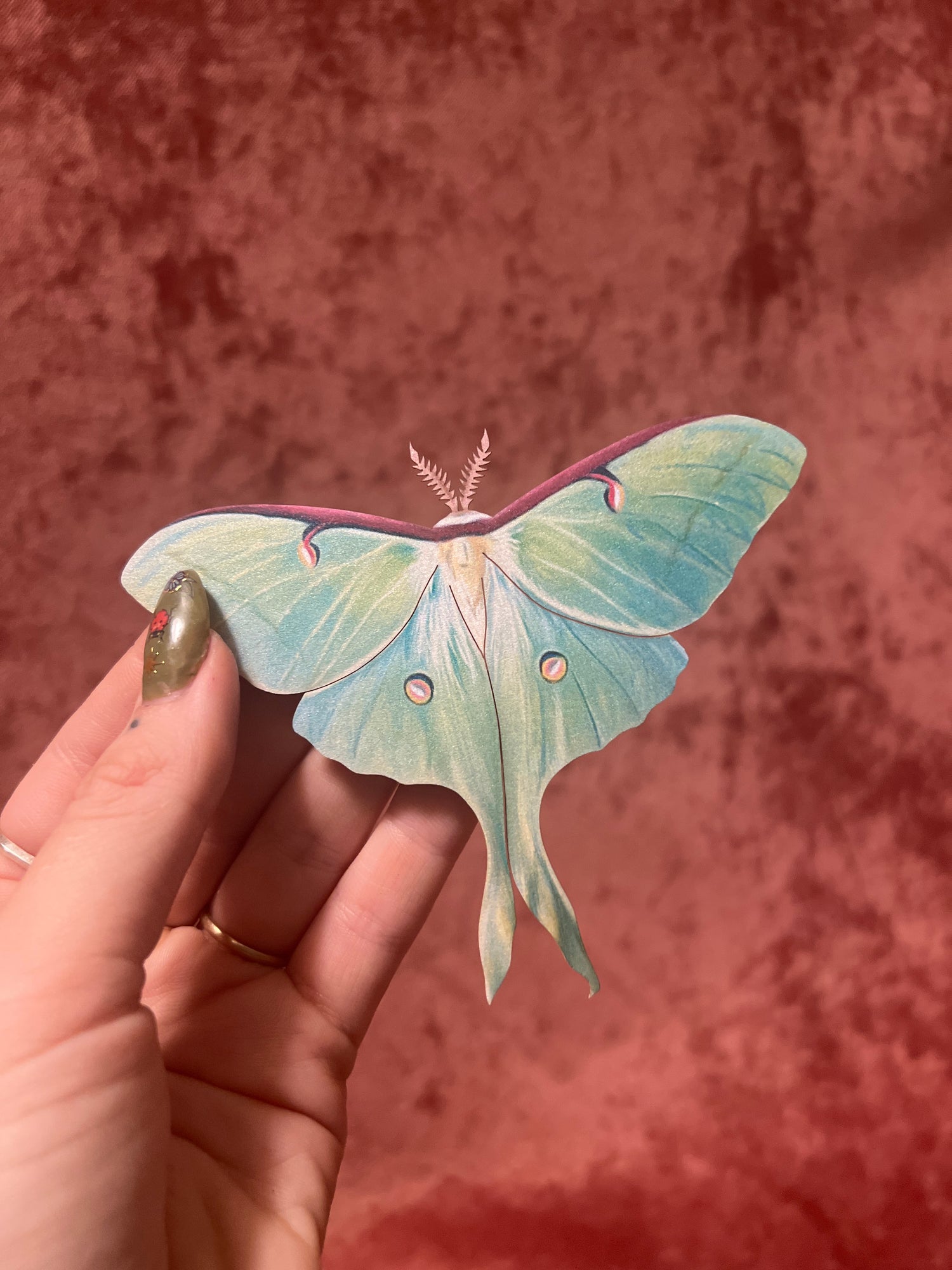 Faux/Paper Specimens