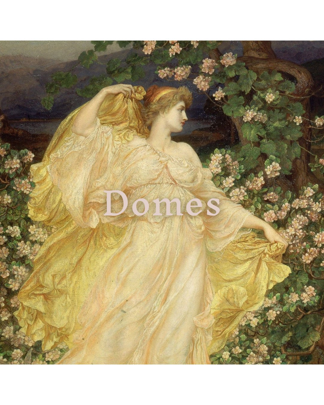 Domes & Cloches