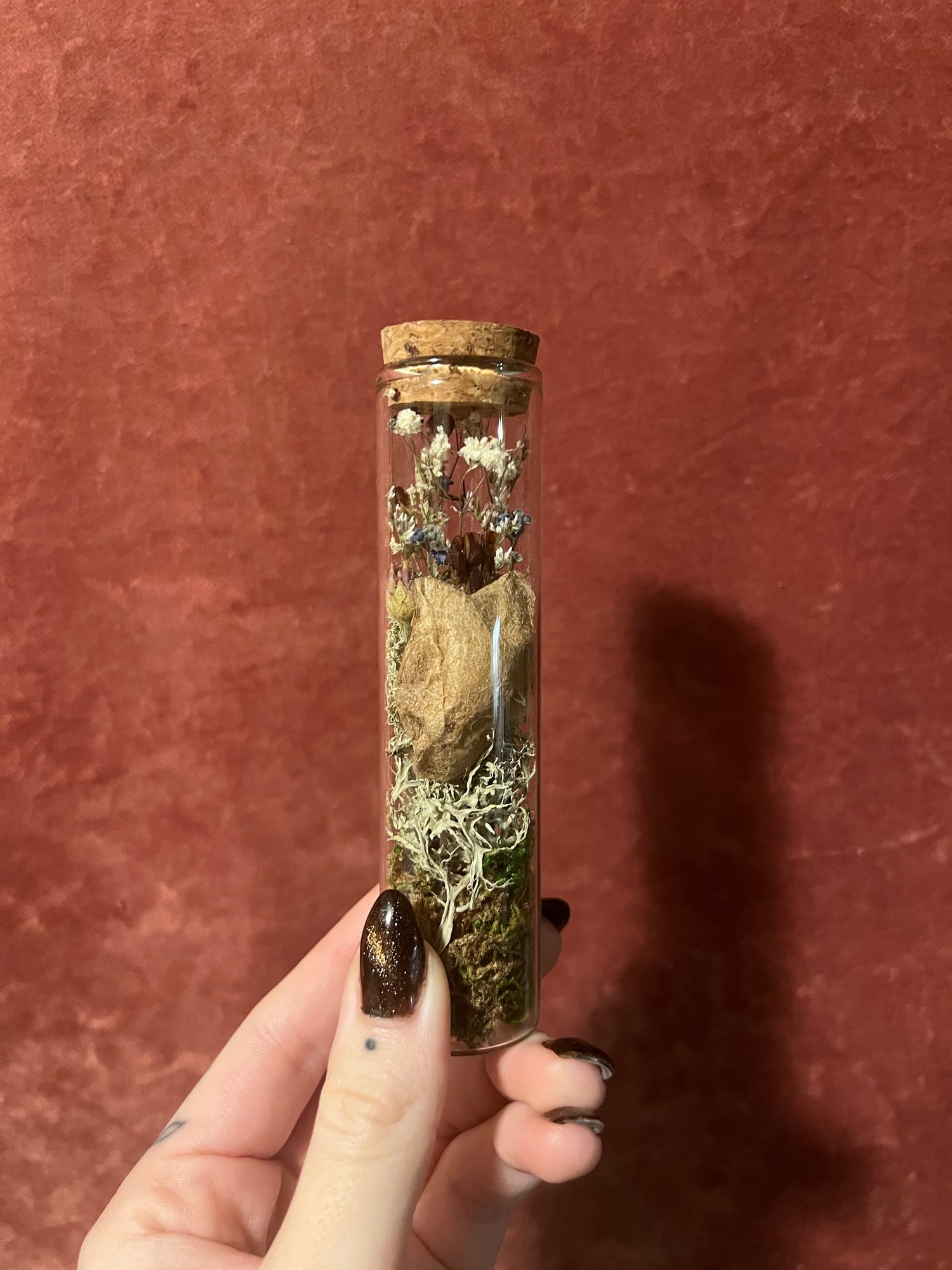 Curio Jars & Misc.