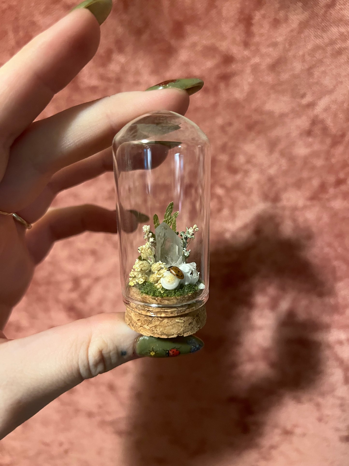 Ladybug Terrarium Cork Display Dome