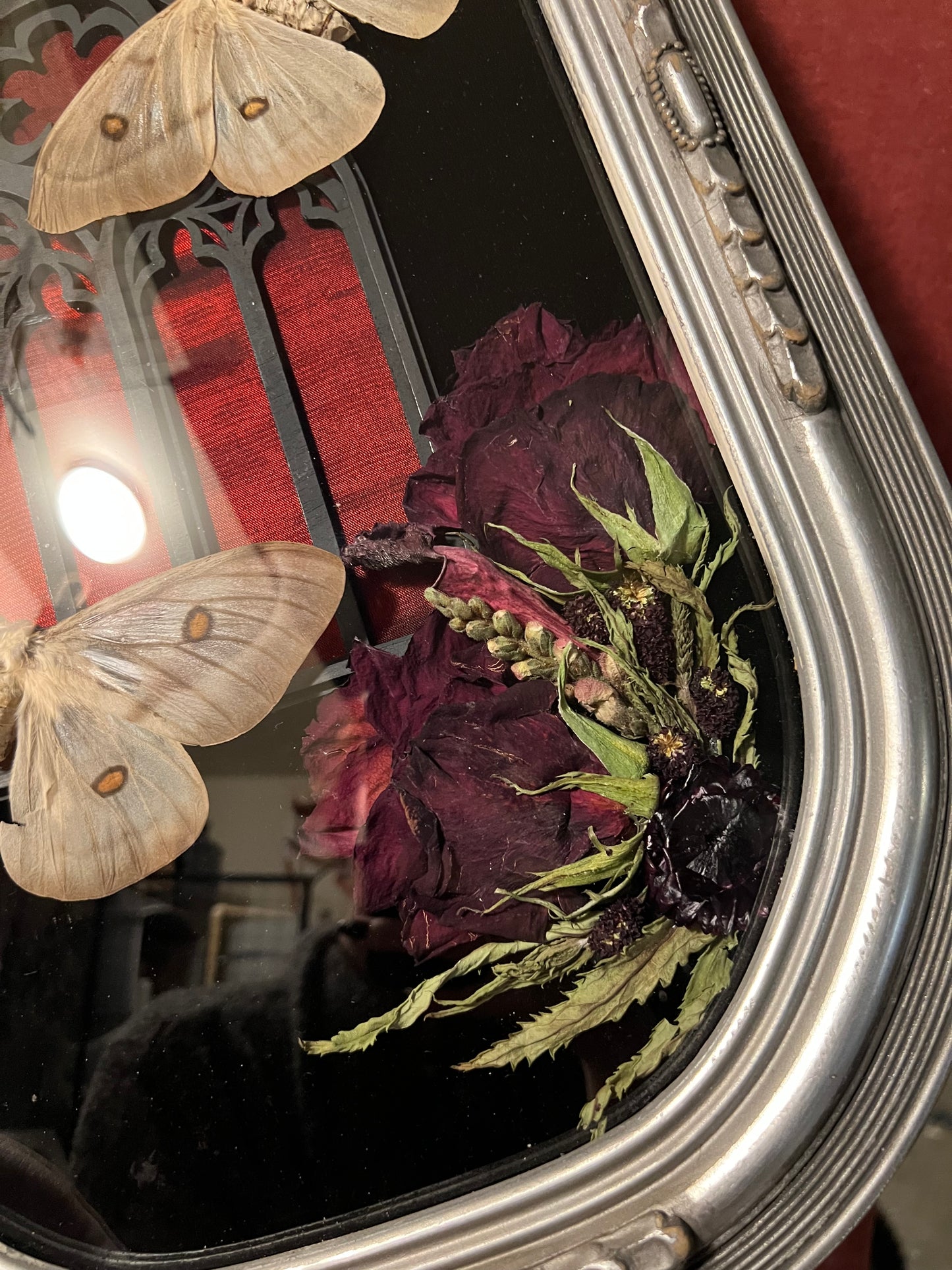 Ghostly Moth Cathedral Antique Frame