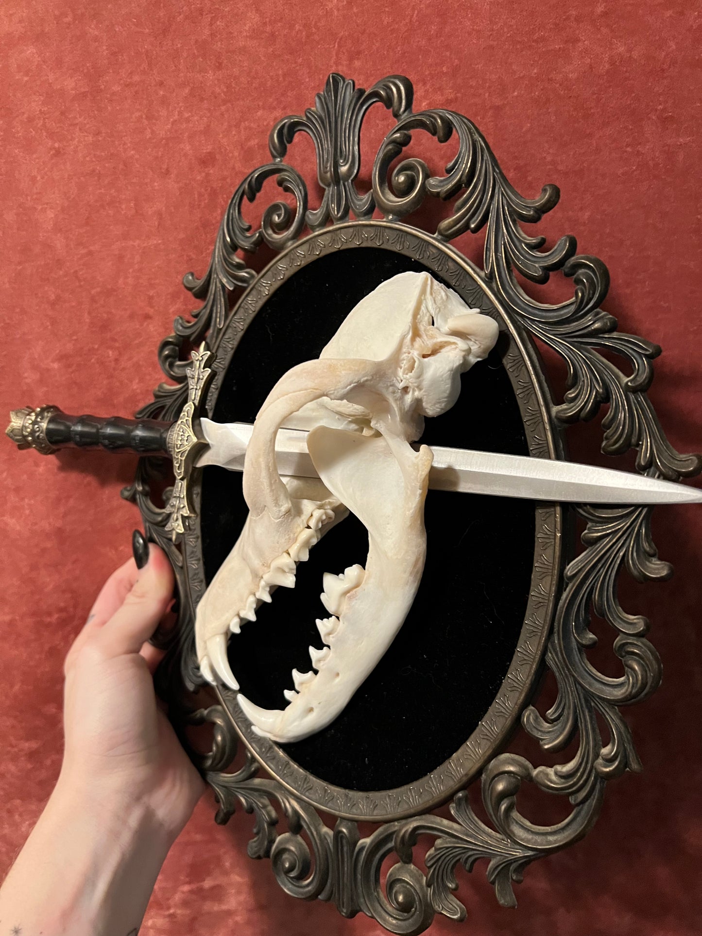 Coyote Dagger Aged Victorian Brass Frame