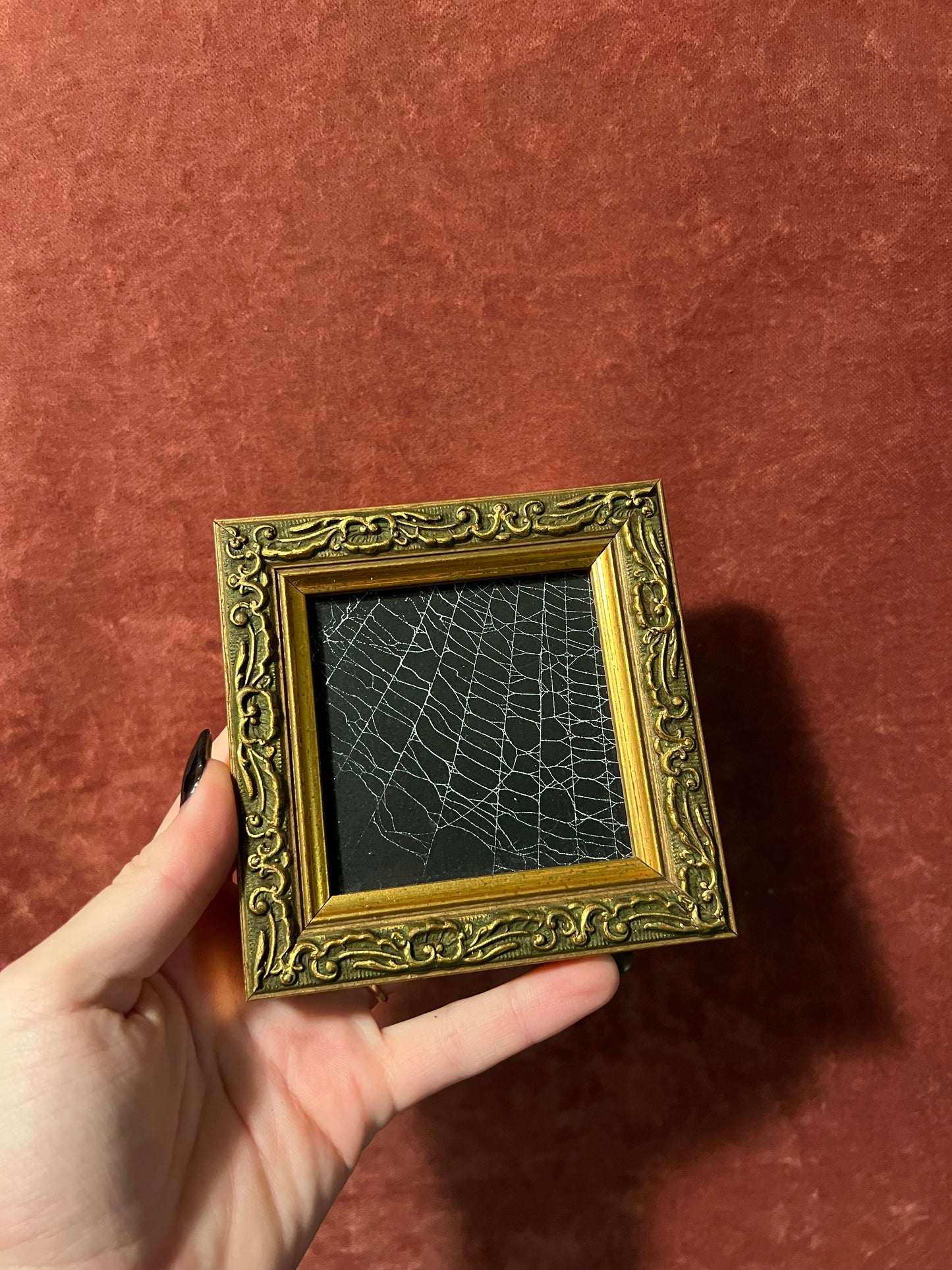 Real Spiderweb Framed