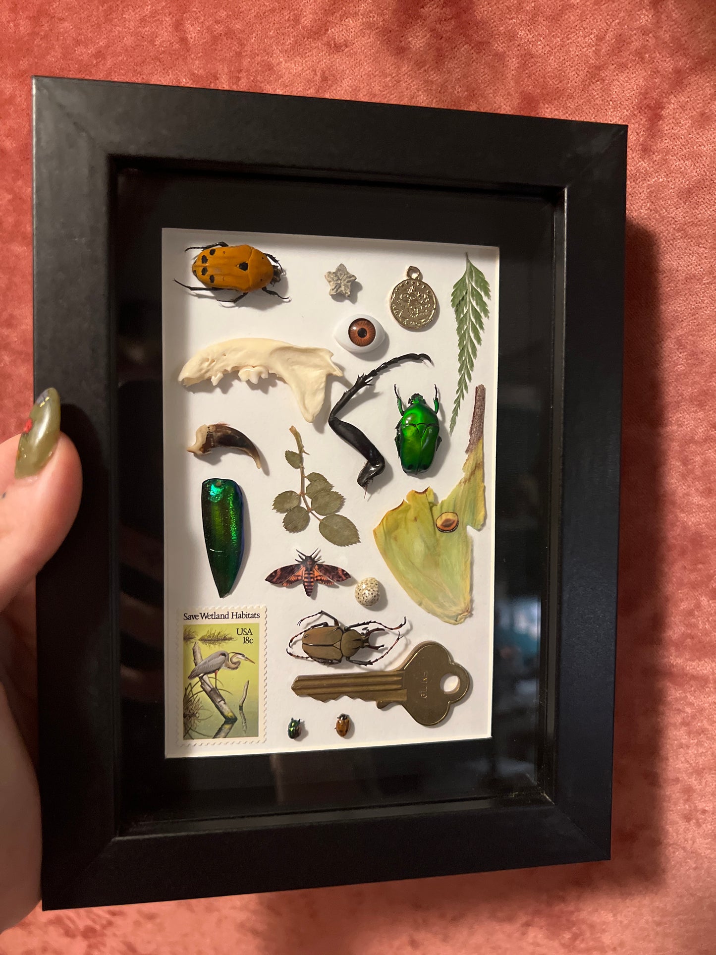 “Green Glades” Junk Drawer Frame