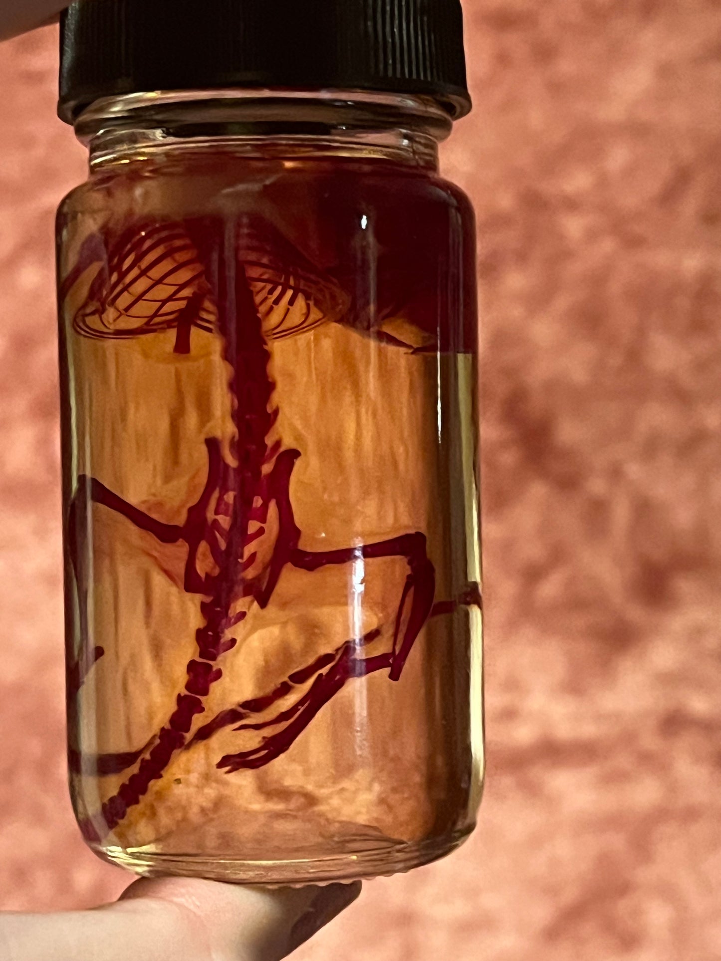 Diaphonized Specimens (B GRADE)