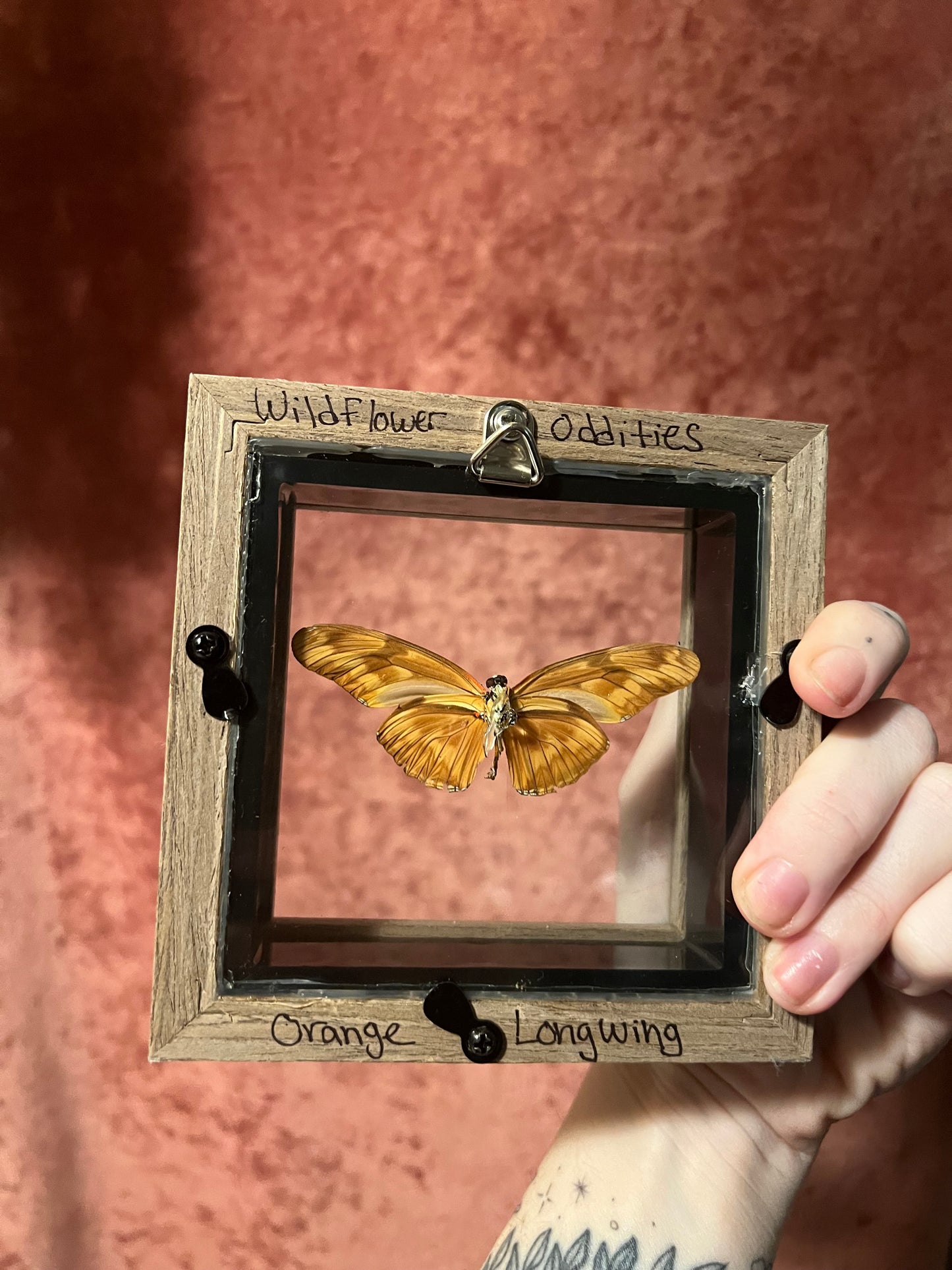 Glass Backed Natural Deaths 4x4