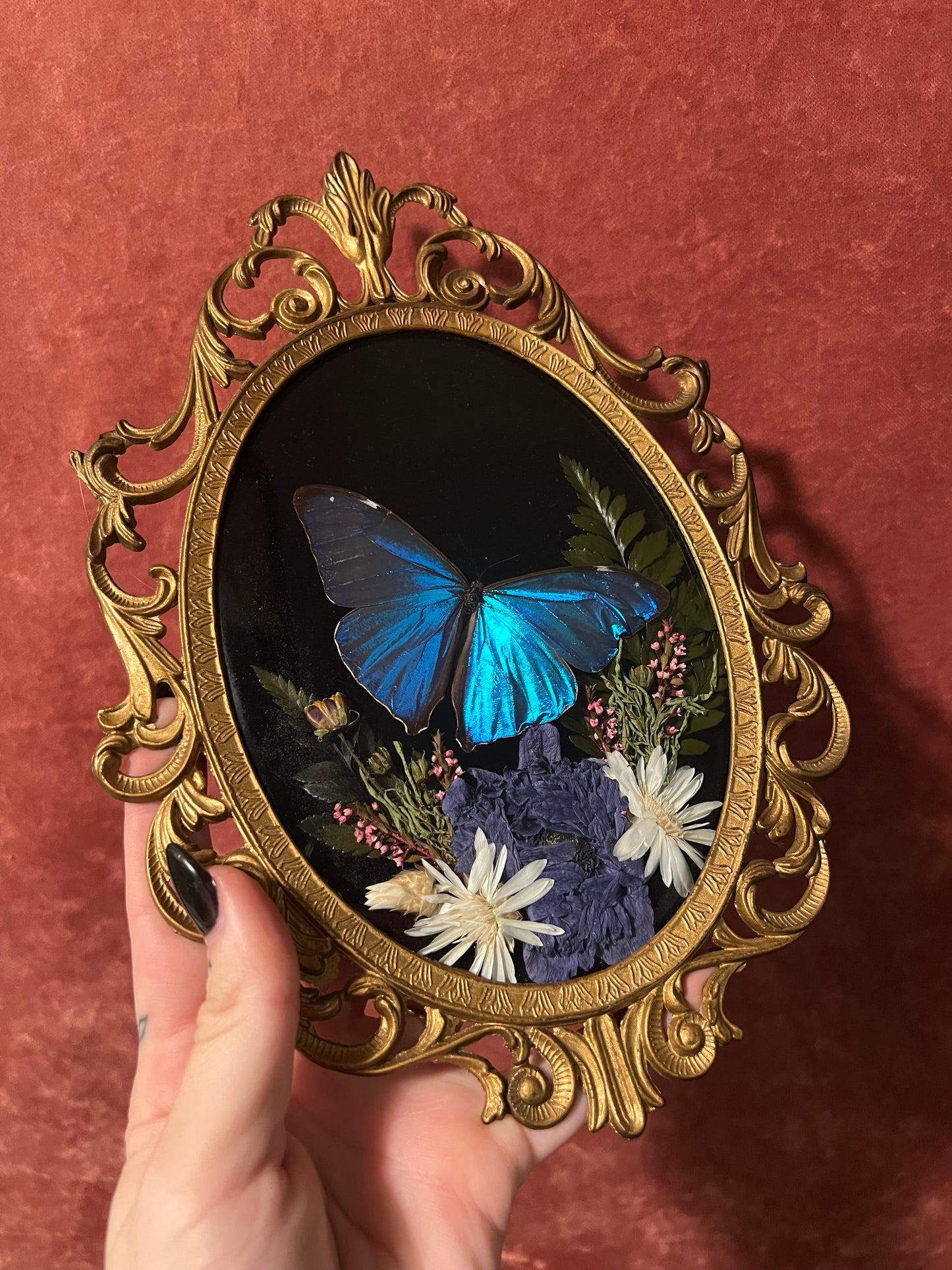 Blue Morpho Small Vintage Frame