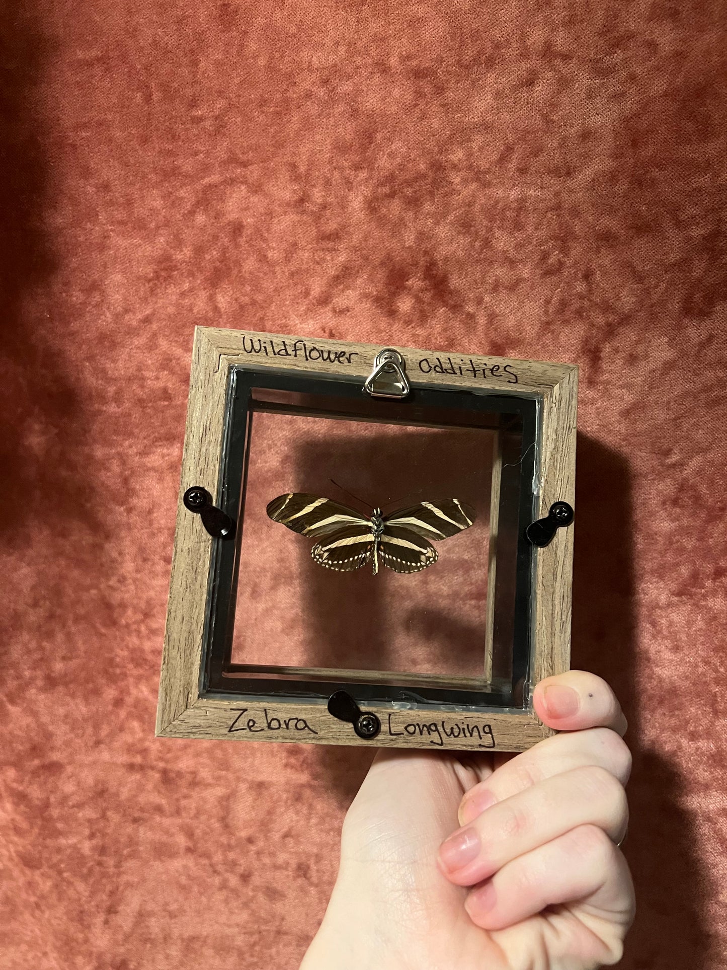 Glass Backed Natural Deaths 4x4