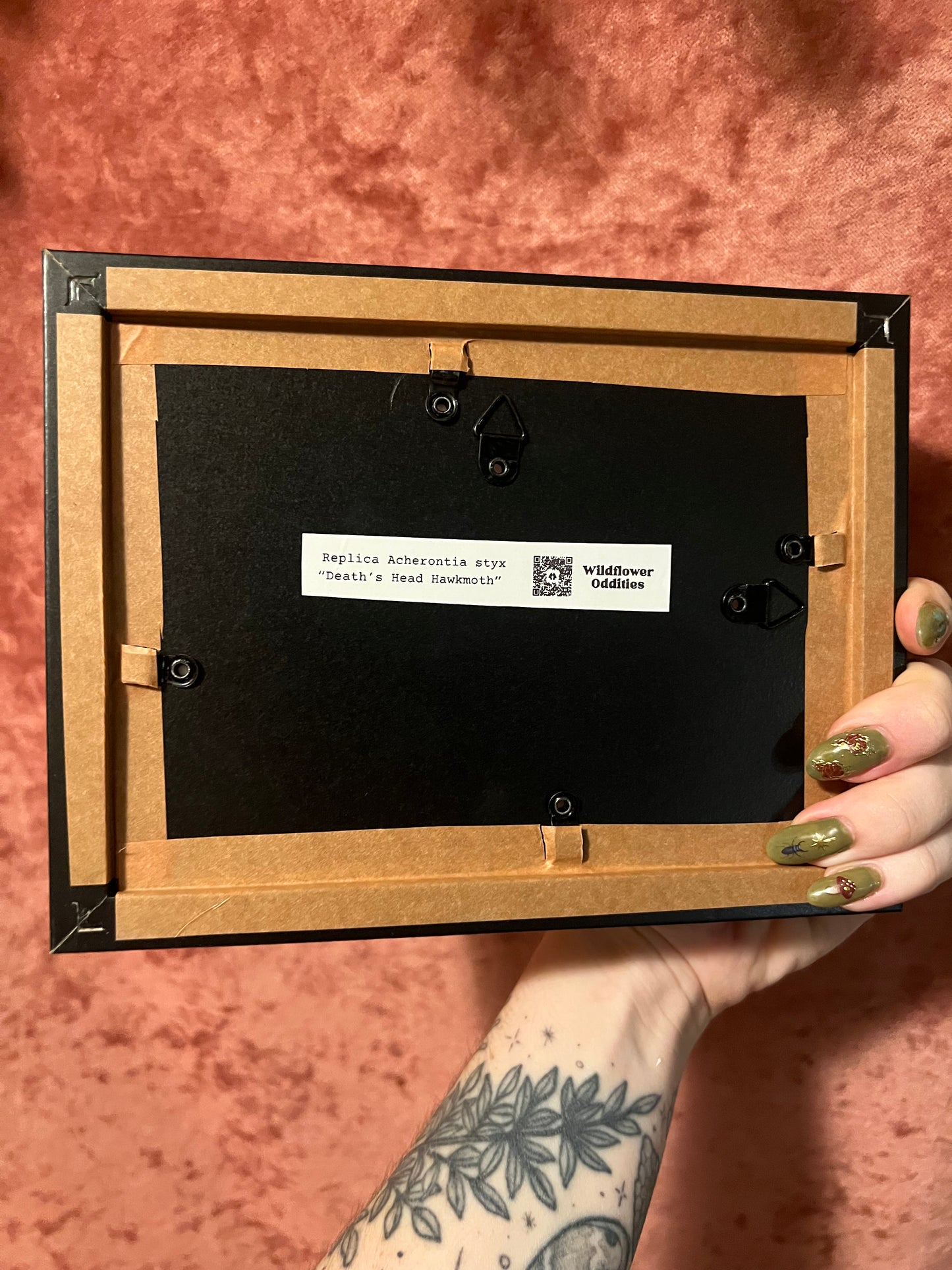 Framed Paper Specimens in Black 5x7 Shadowbox, M&M Faux Insect Taxidermy