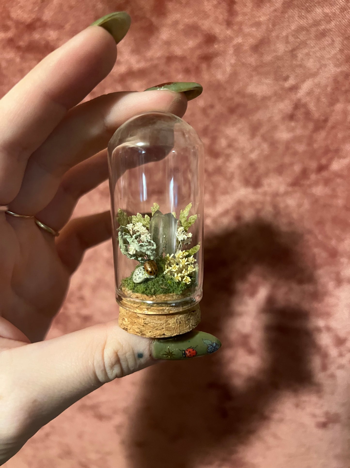 Ladybug Terrarium Cork Display Dome