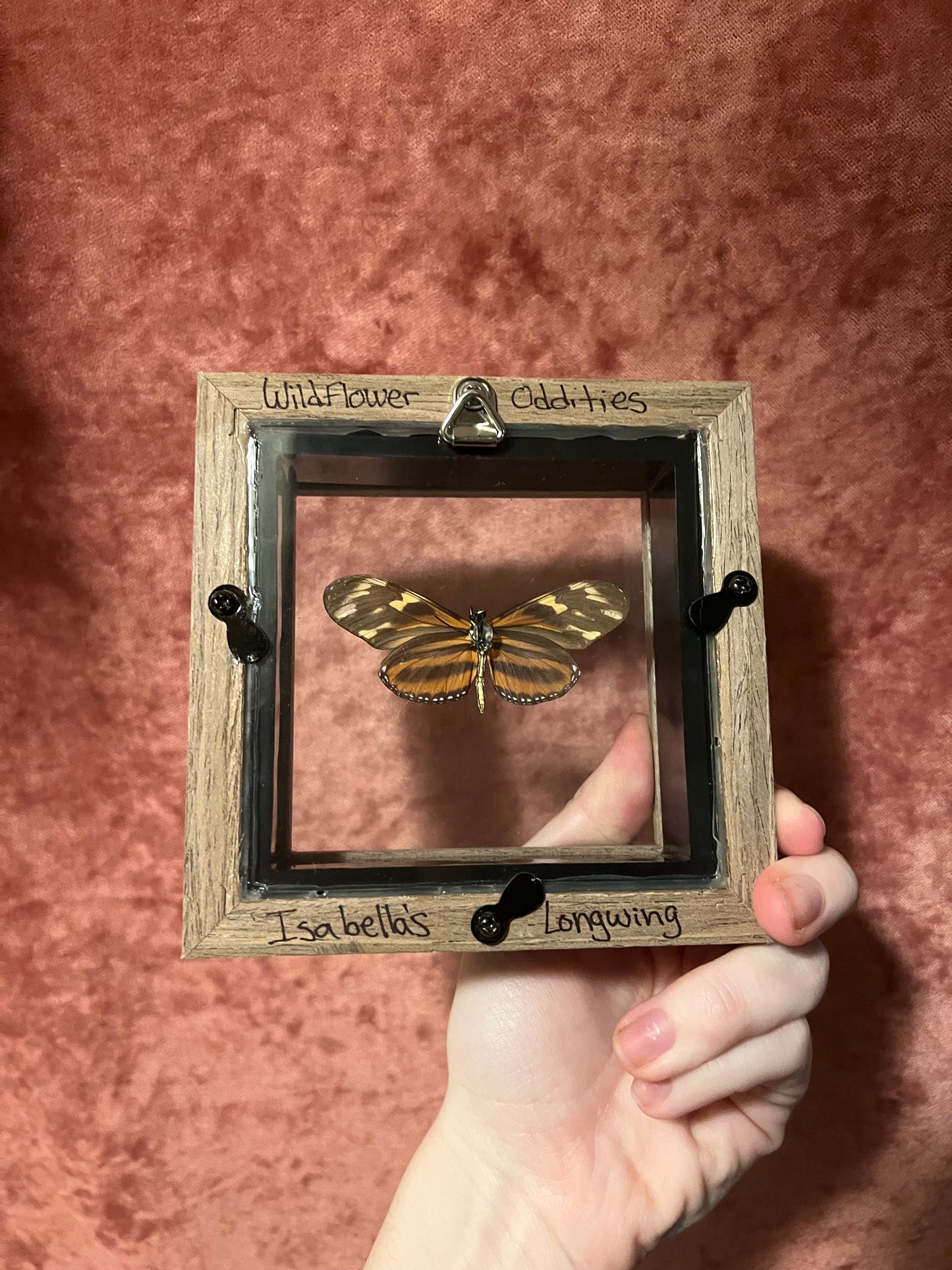 Glass Backed Natural Deaths 4x4