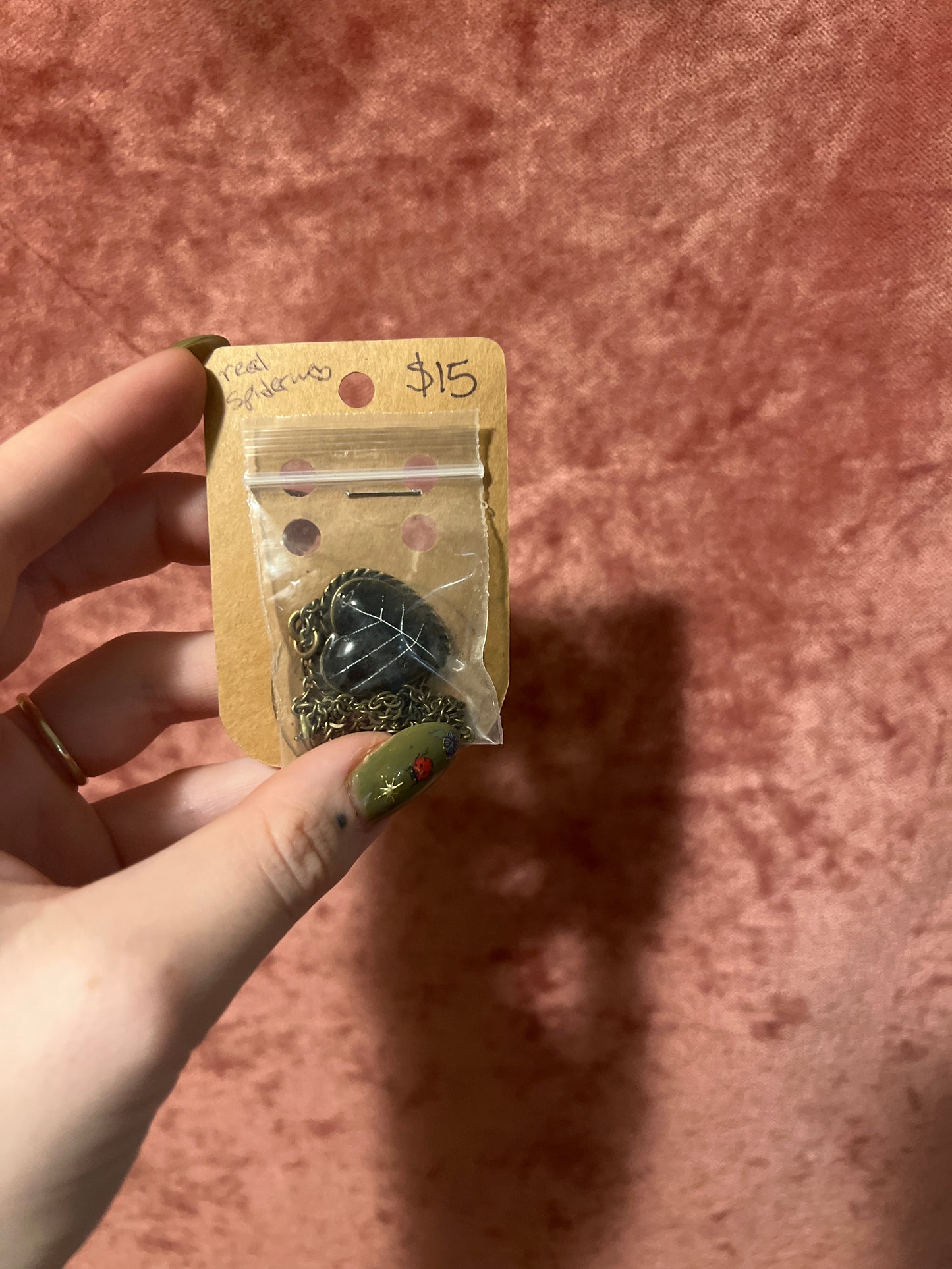 Real Preserved Spiderweb Necklace