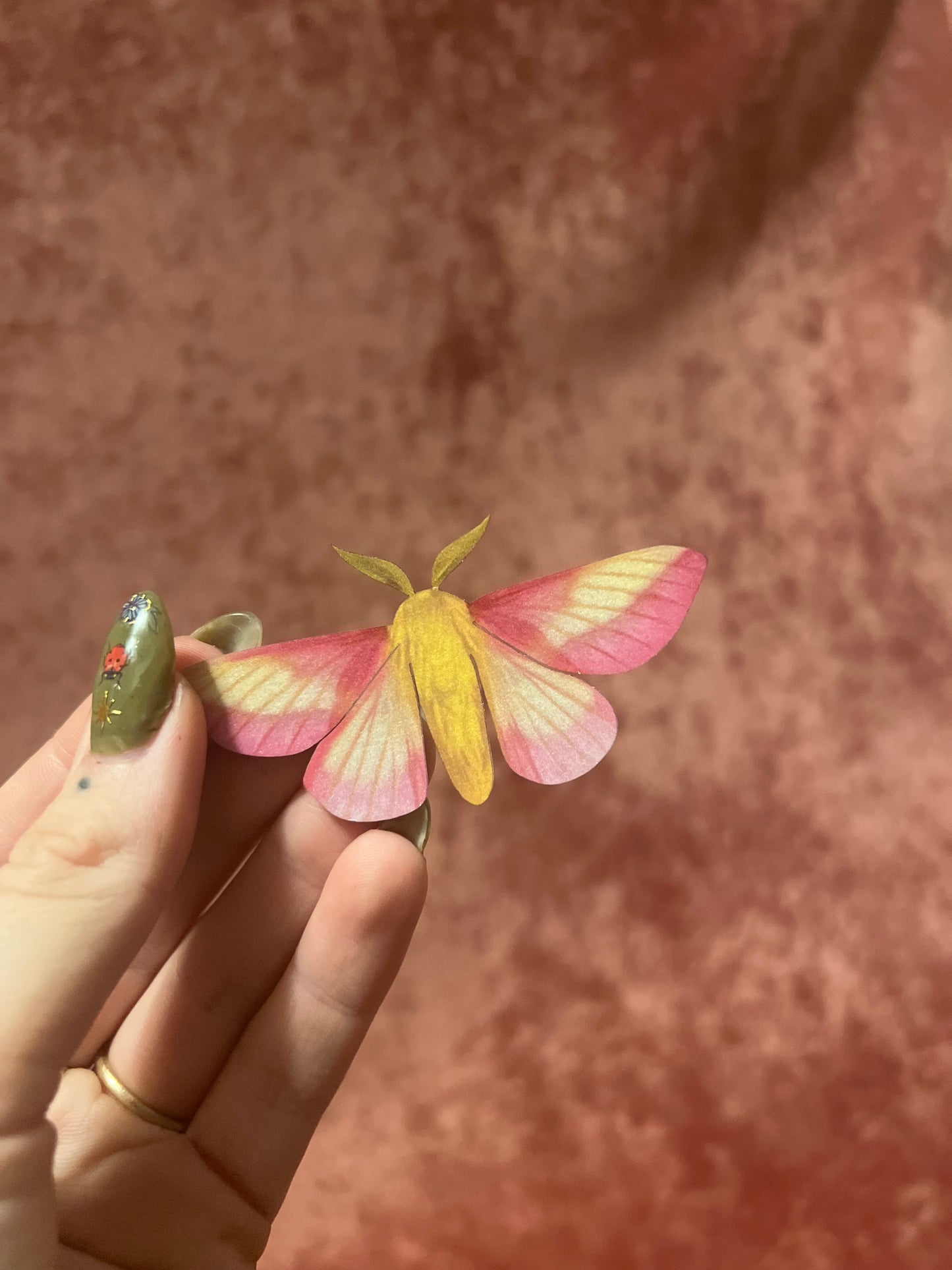 Rosy Maple Moth M&M Paper Specimen