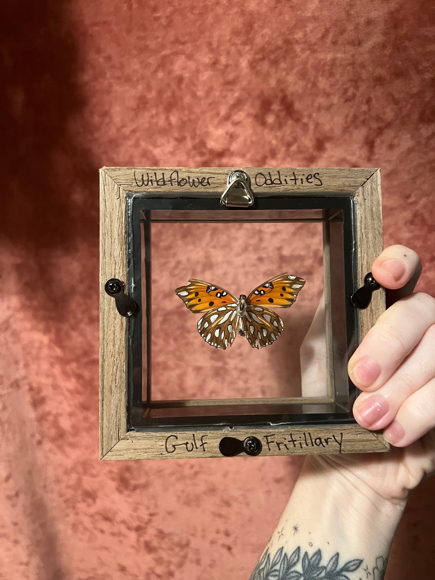 Glass Backed Natural Deaths 4x4