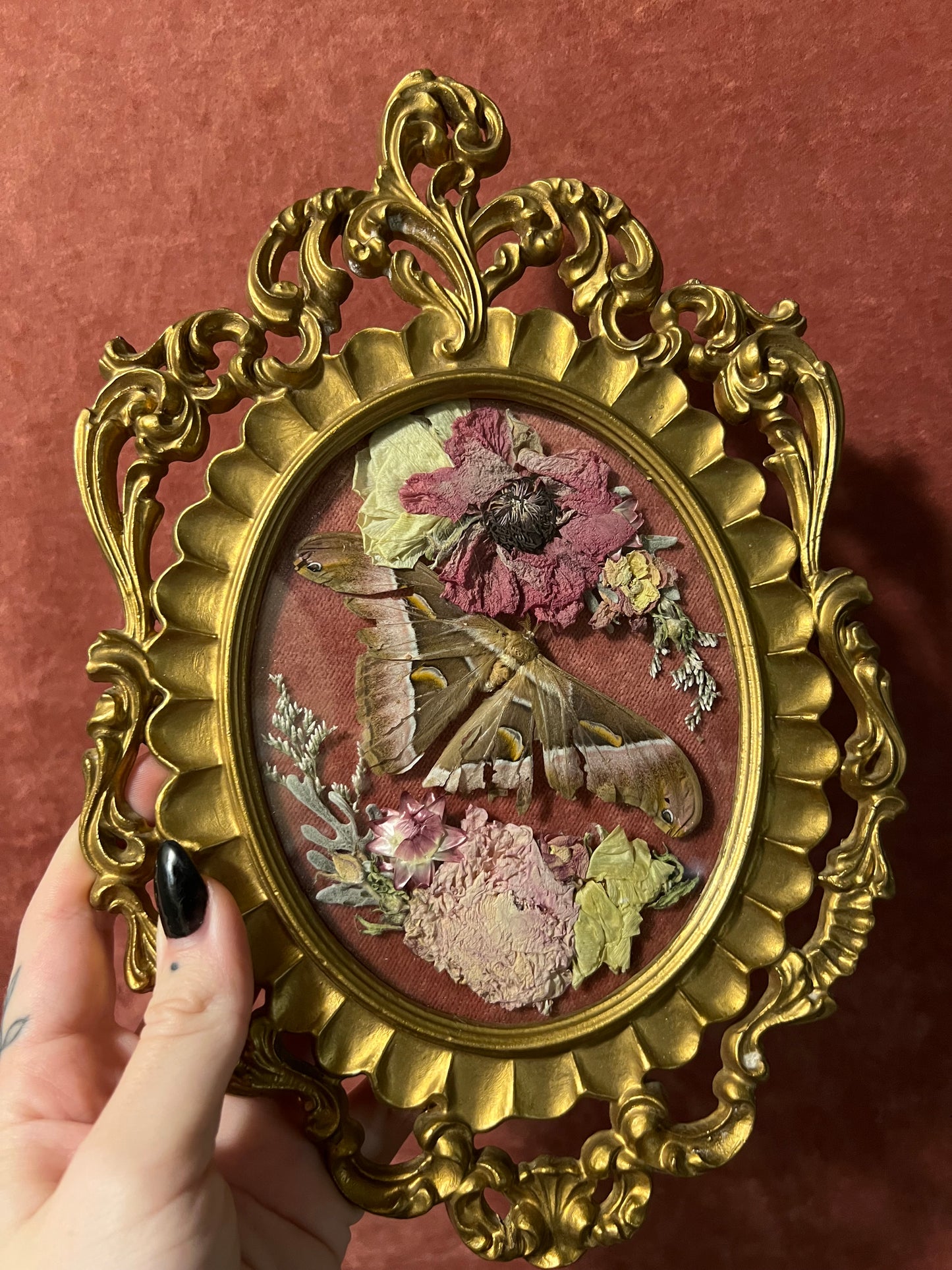 Cynthia Moth in Vintage Frame