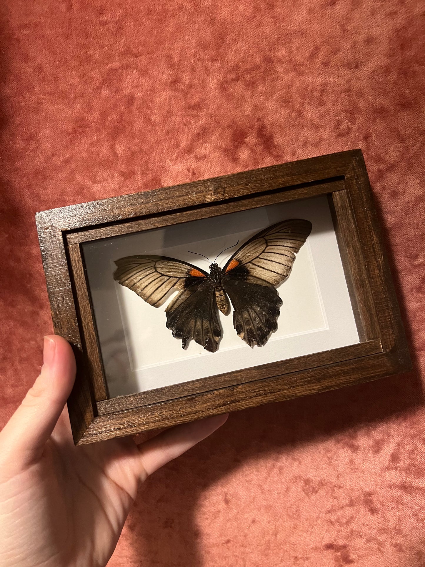 Natural Death Frames 4x6