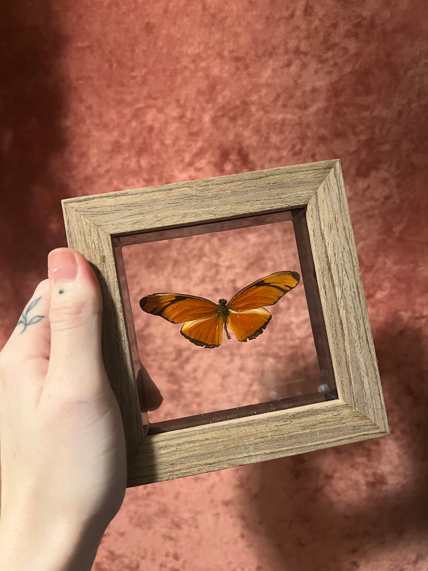 Glass Backed Natural Deaths 4x4