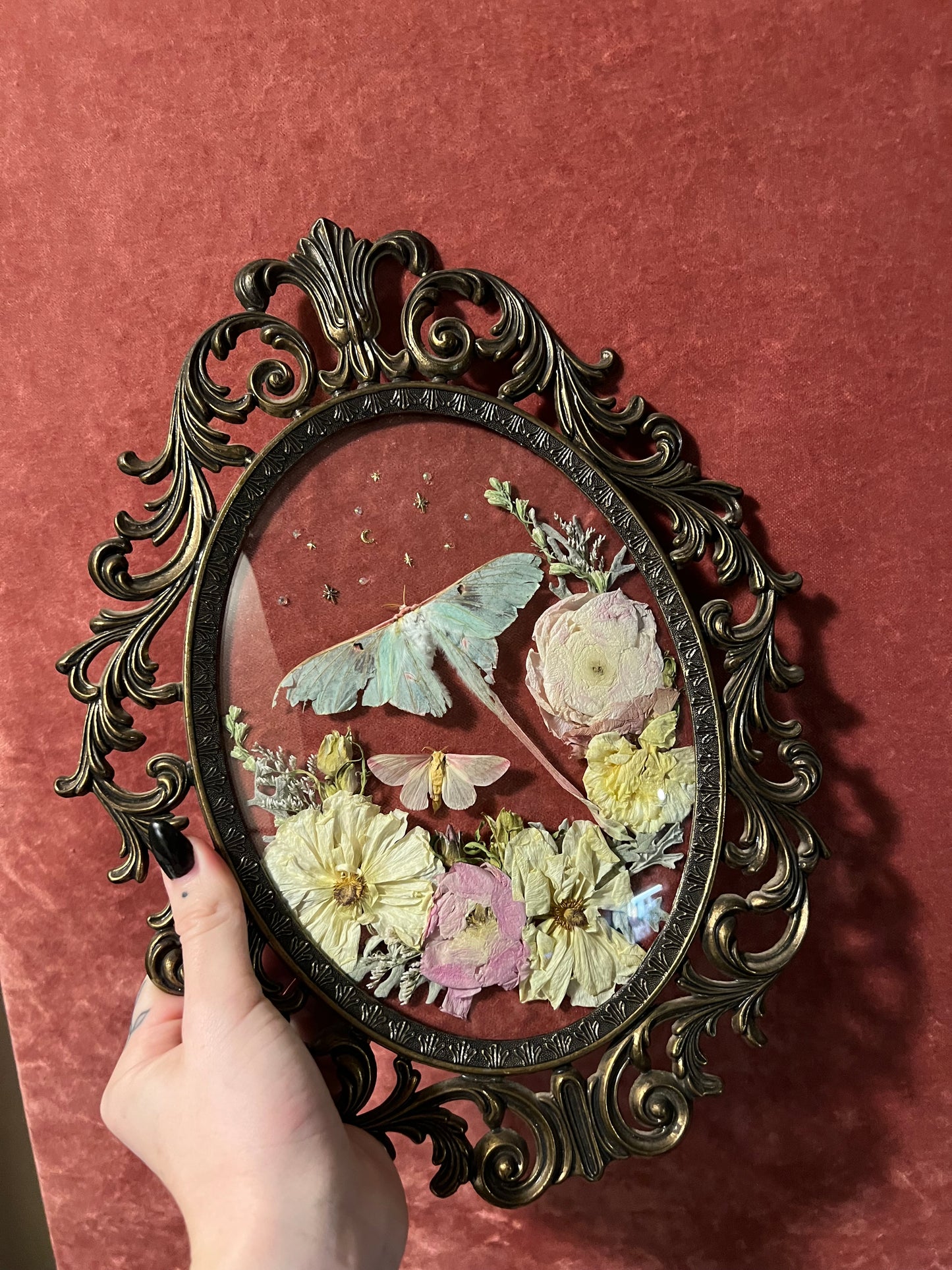 Chinese Luna Moth & Rosy Maple Vintage Bubble Glass Frame