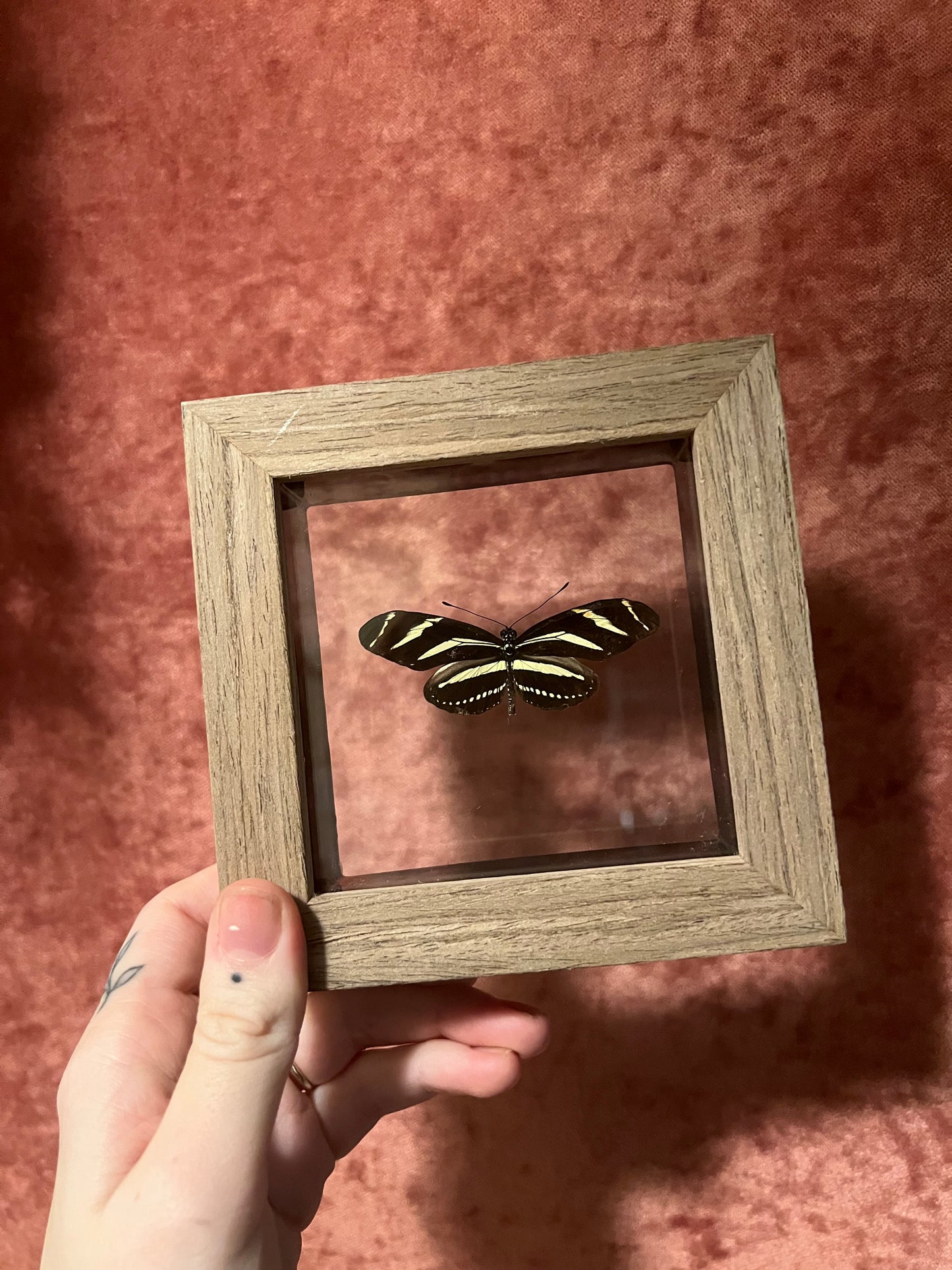 Glass Backed Natural Deaths 4x4