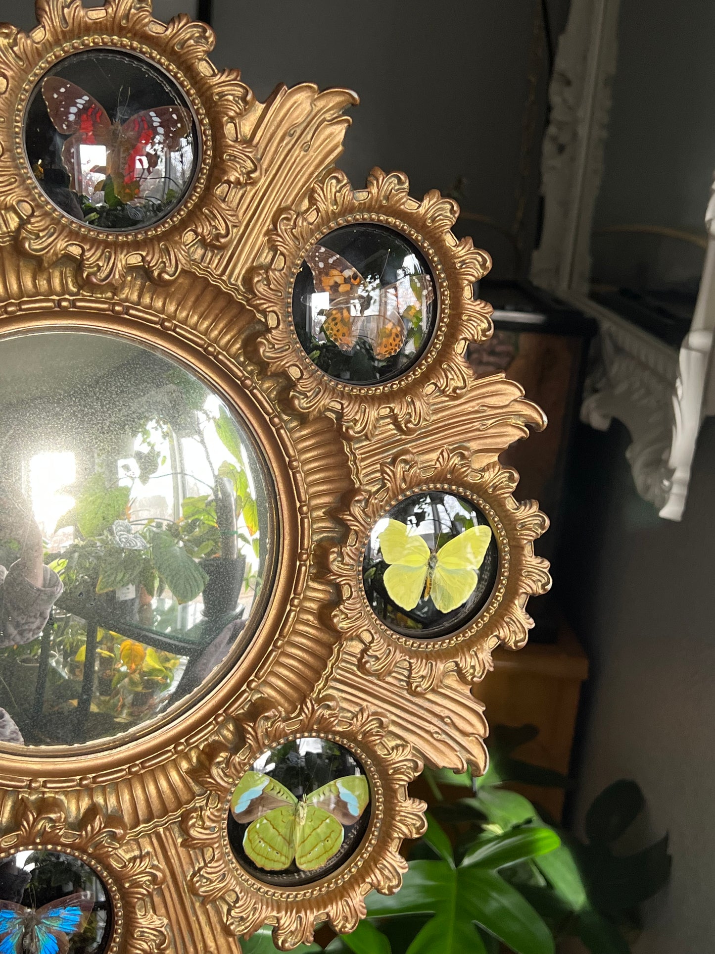 Rainbow Butterfly Mirror Frame