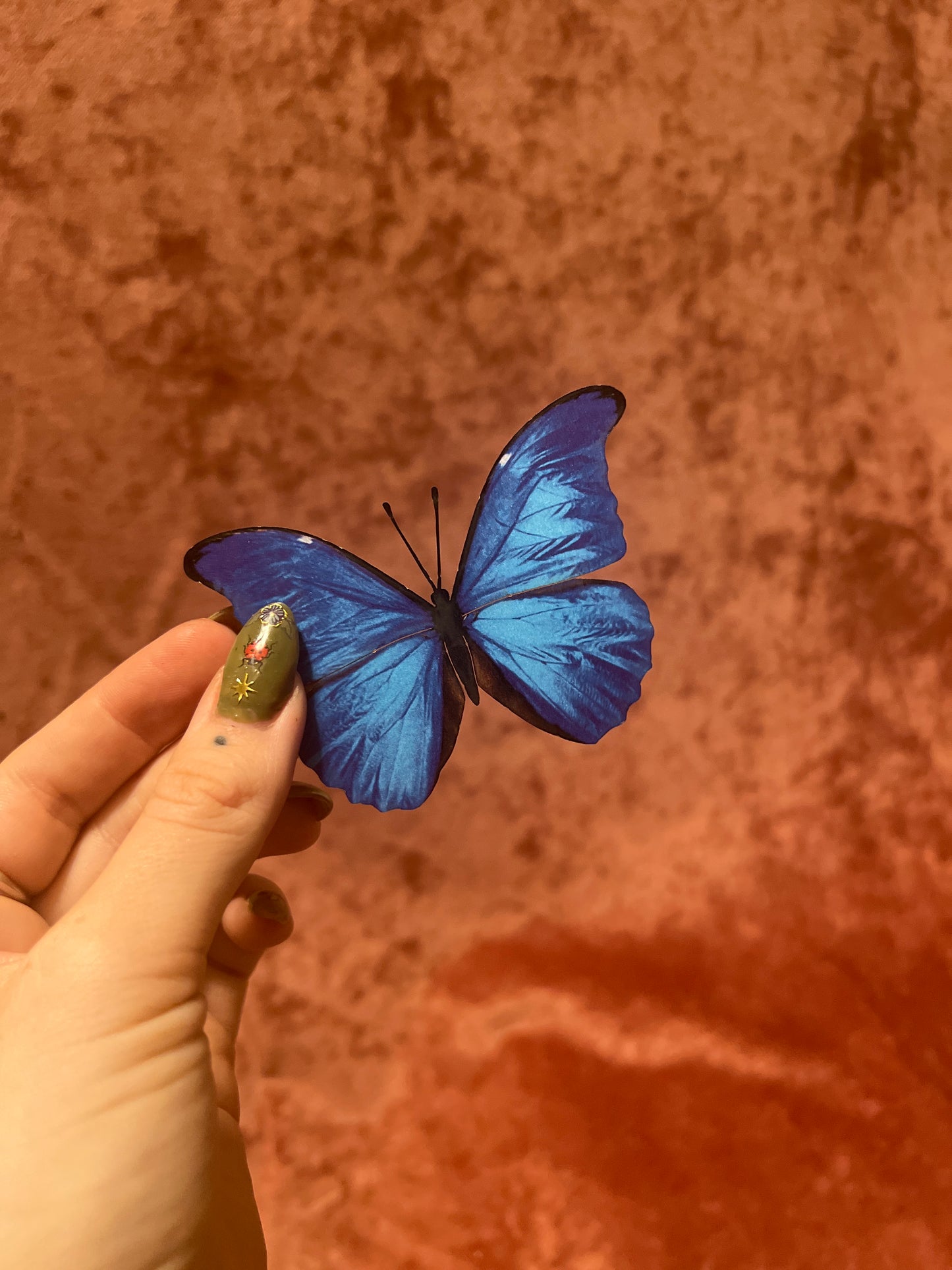 Blue Morpho Butterfly M&M Paper Specimen