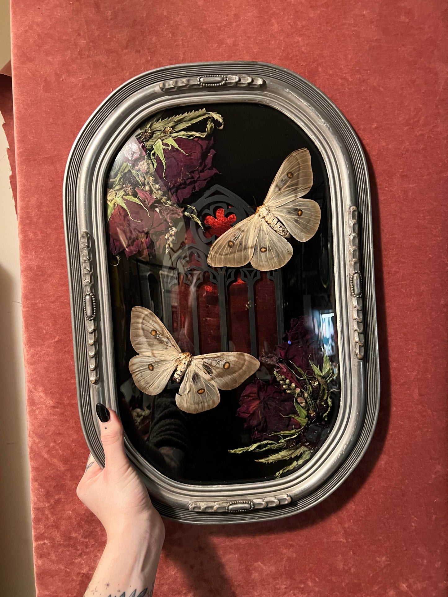 Ghostly Moth Cathedral Antique Frame