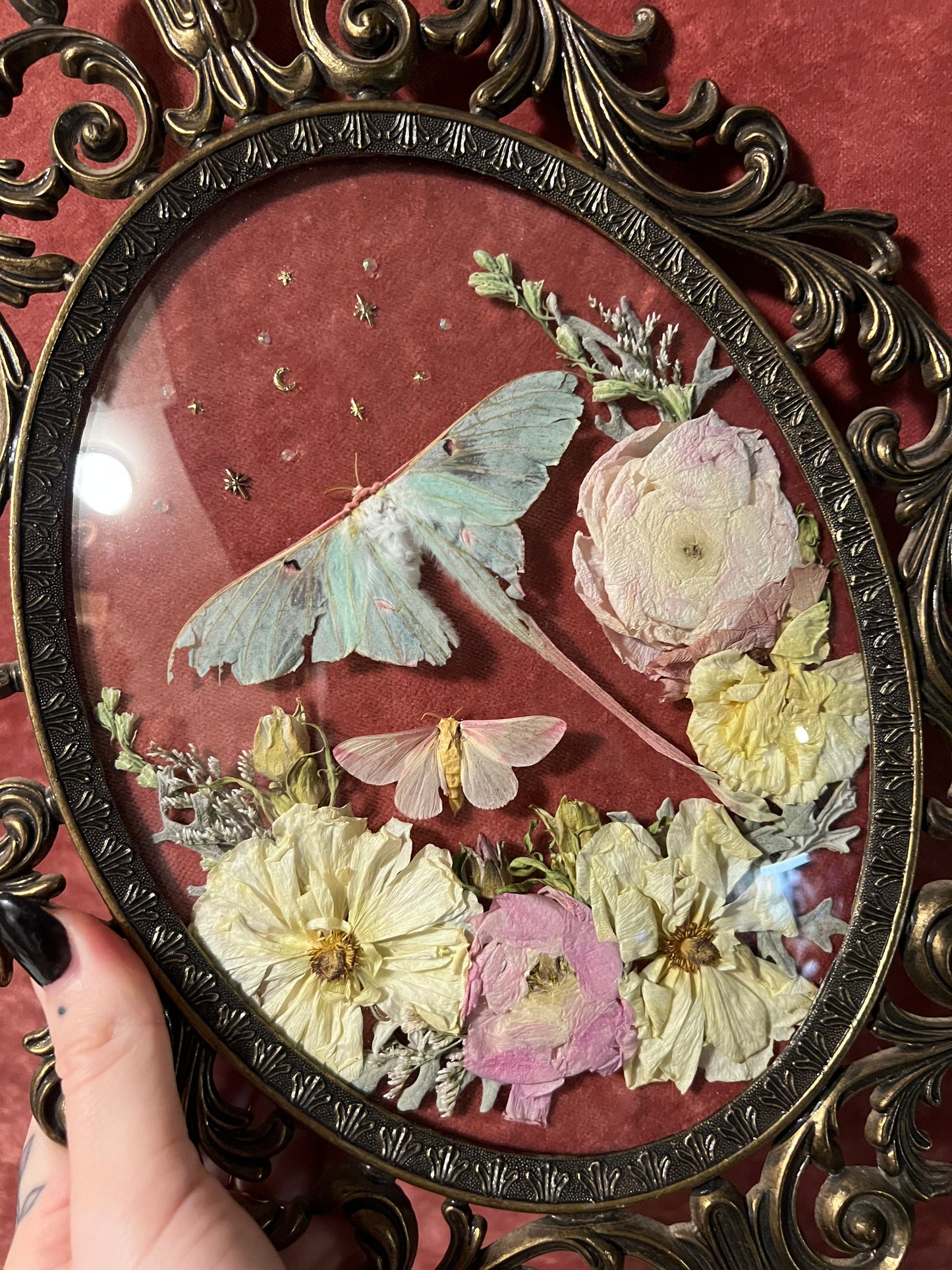 Chinese Luna Moth & Rosy Maple Vintage Bubble Glass Frame