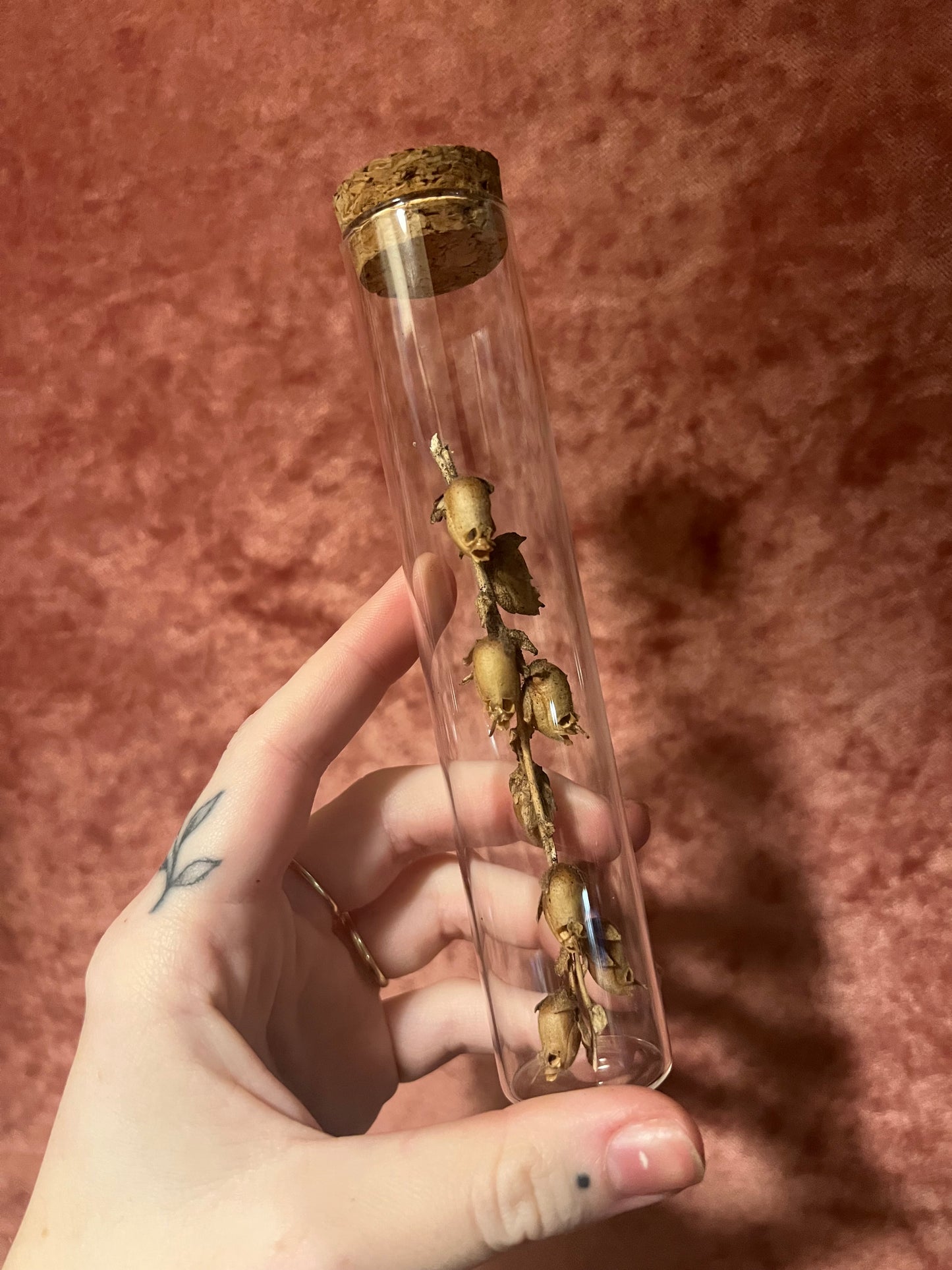 Snapdragon Seed Pod Skulls Cork Vial