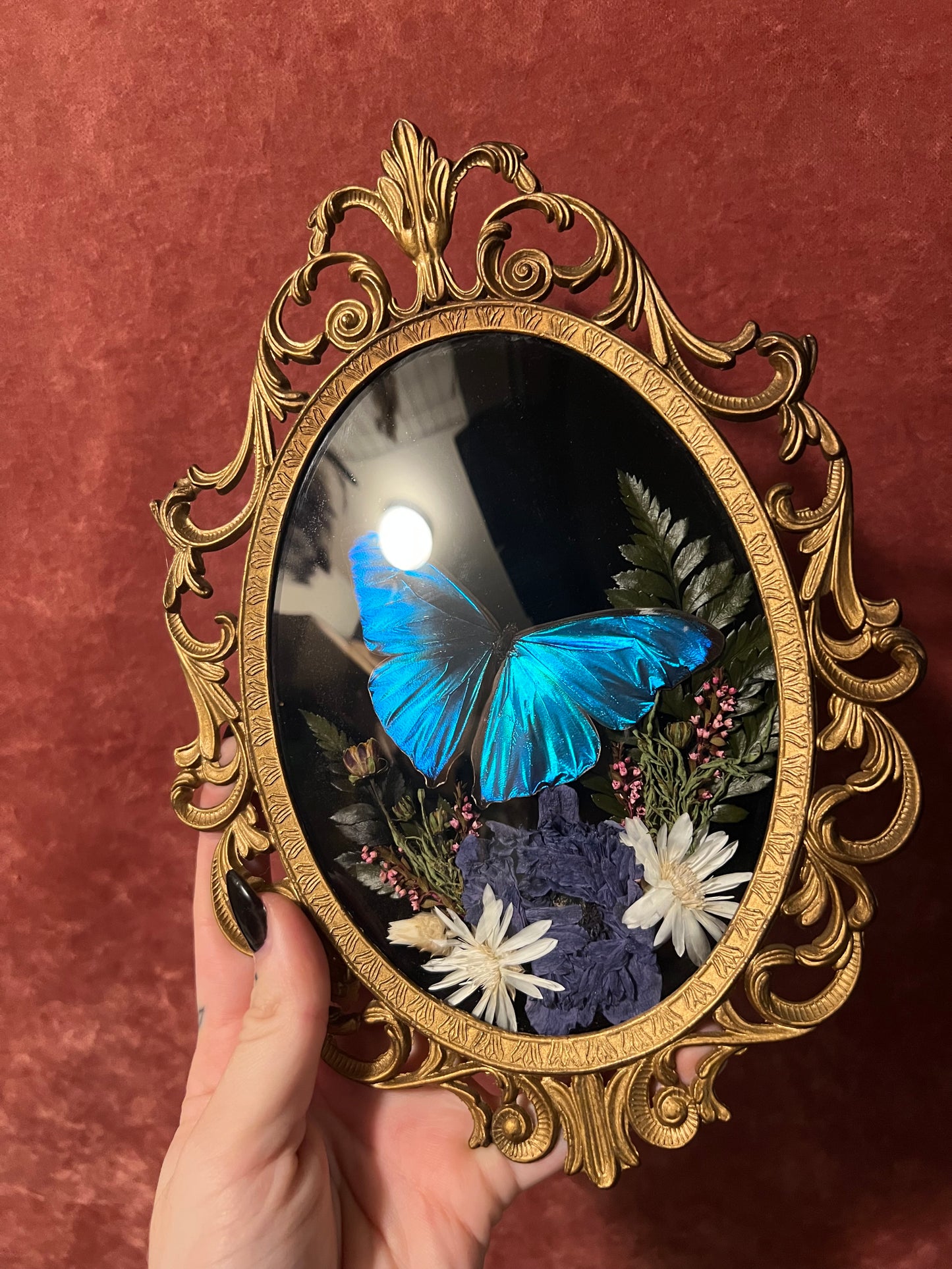 Blue Morpho Small Vintage Frame