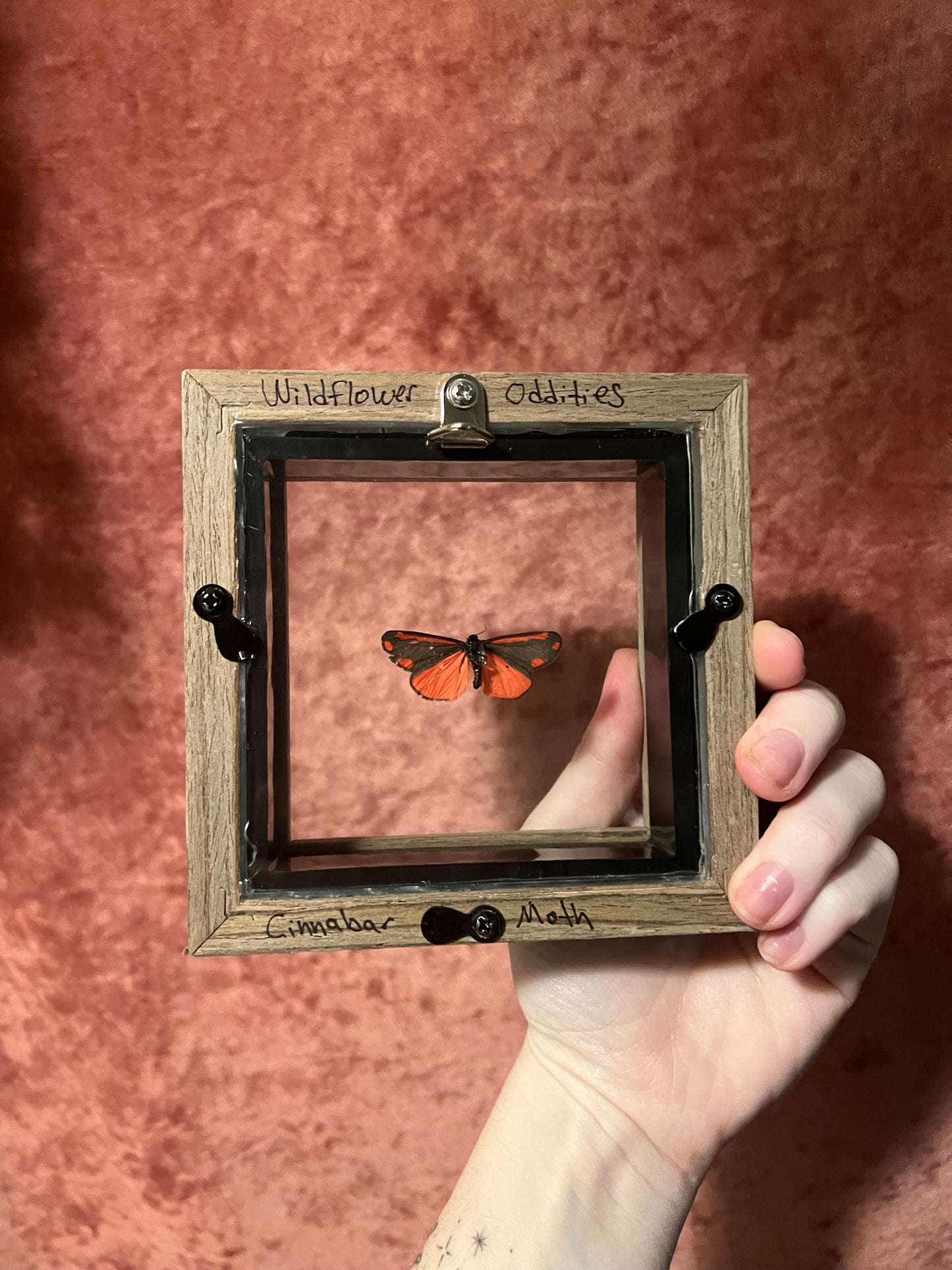 Glass Backed Natural Deaths 4x4