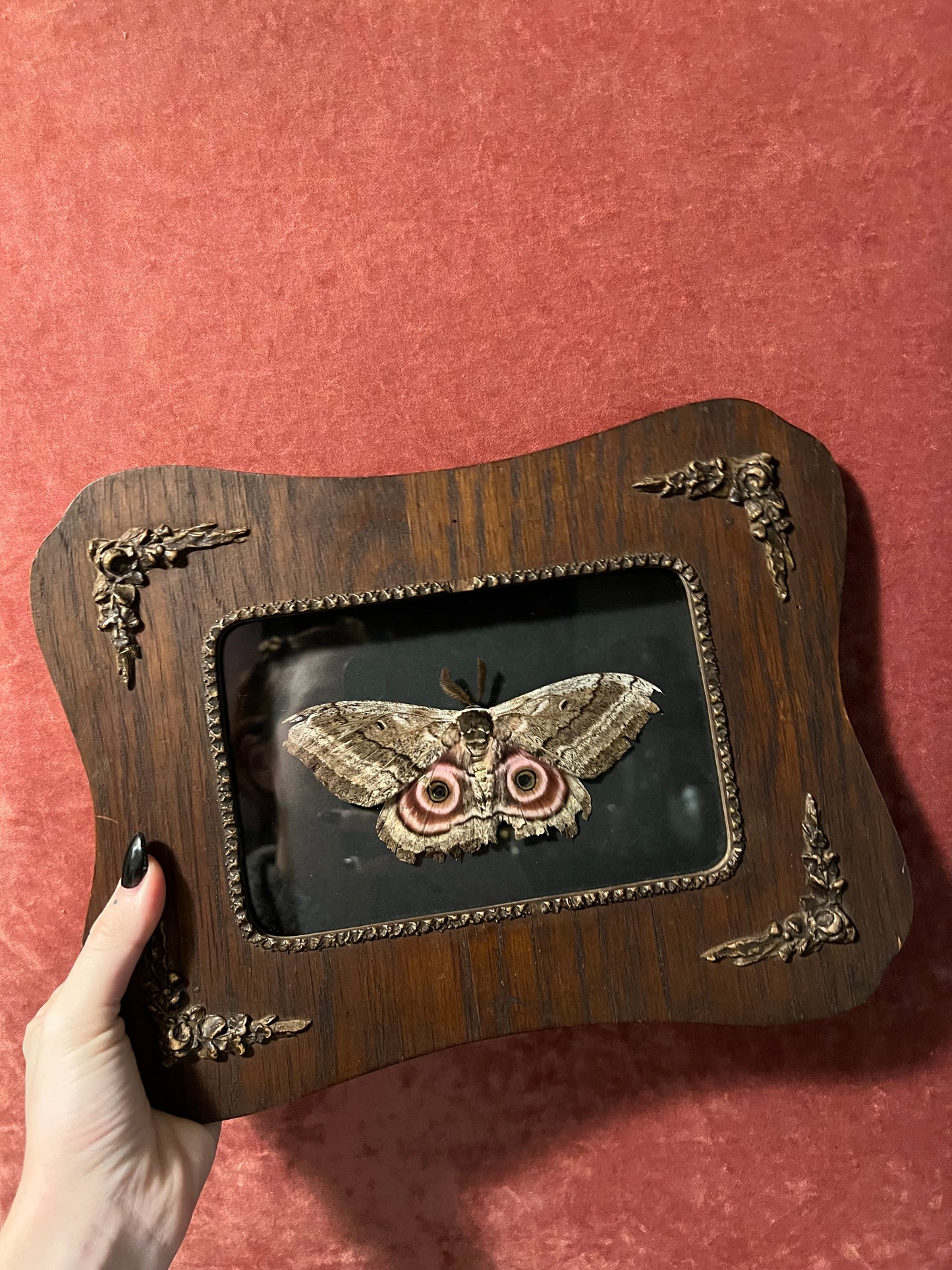 Gynanisa maja - Antique Wooden Frame