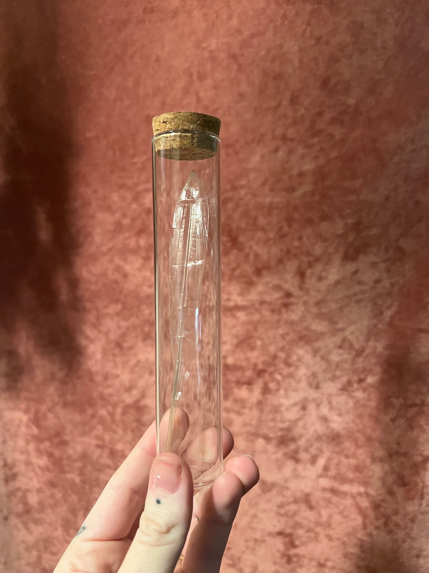 Squid Pen Cork Vial