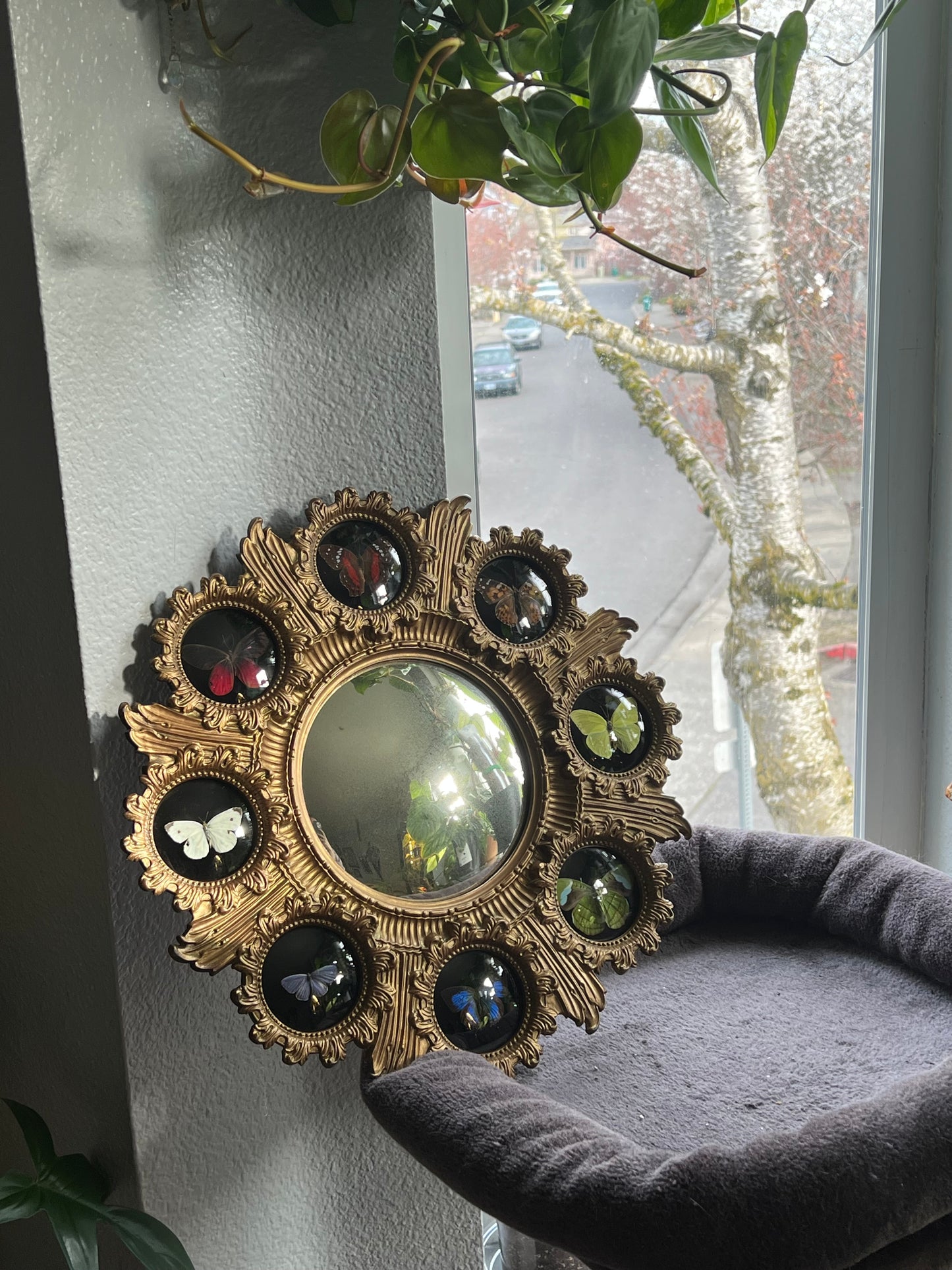 Rainbow Butterfly Mirror Frame